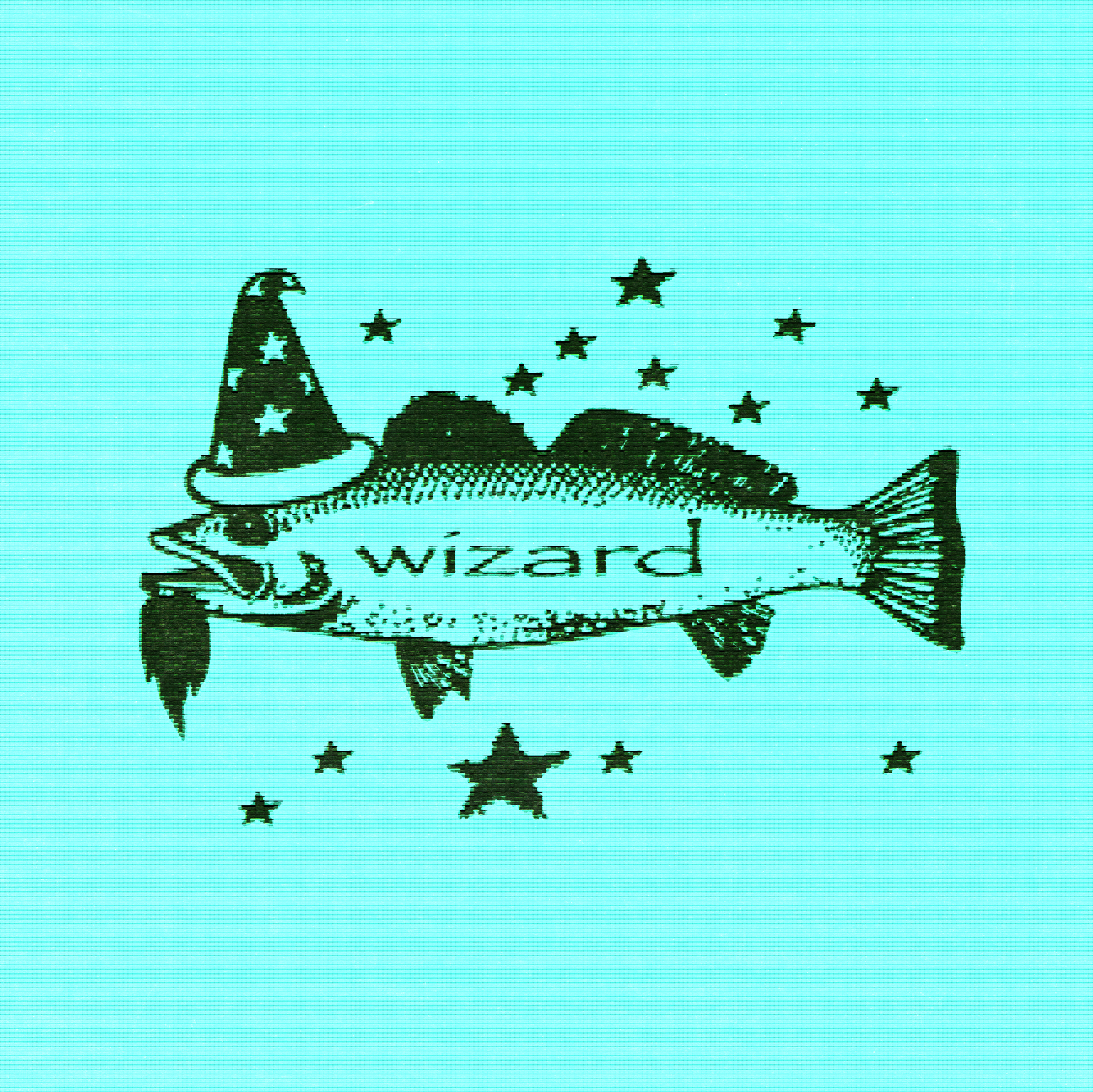 Fish Wizard - The Wizard Saga - Part 5 – dogecore