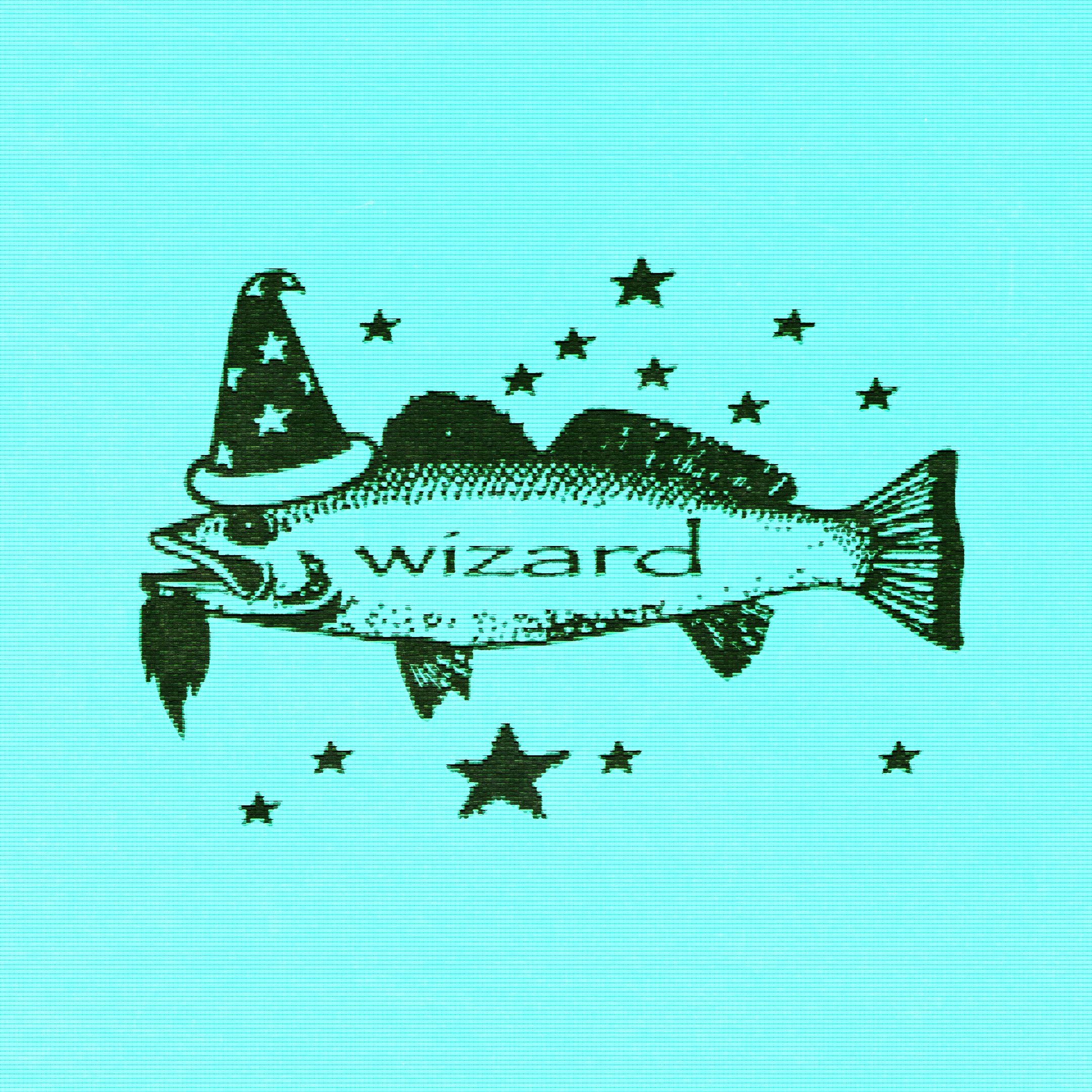 Fish Wizard - The Wizard Saga - Part 5