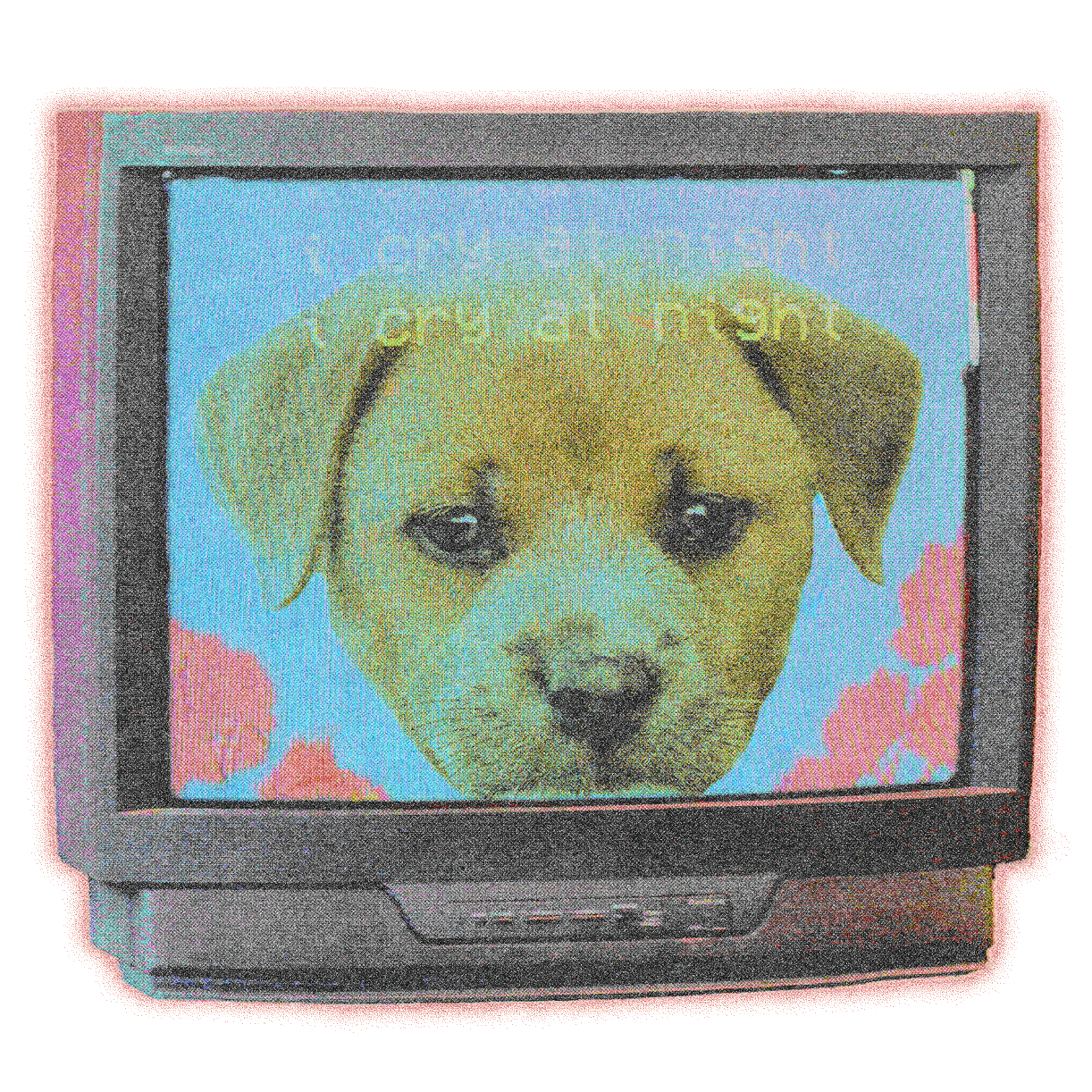 i cry at night – dogecore