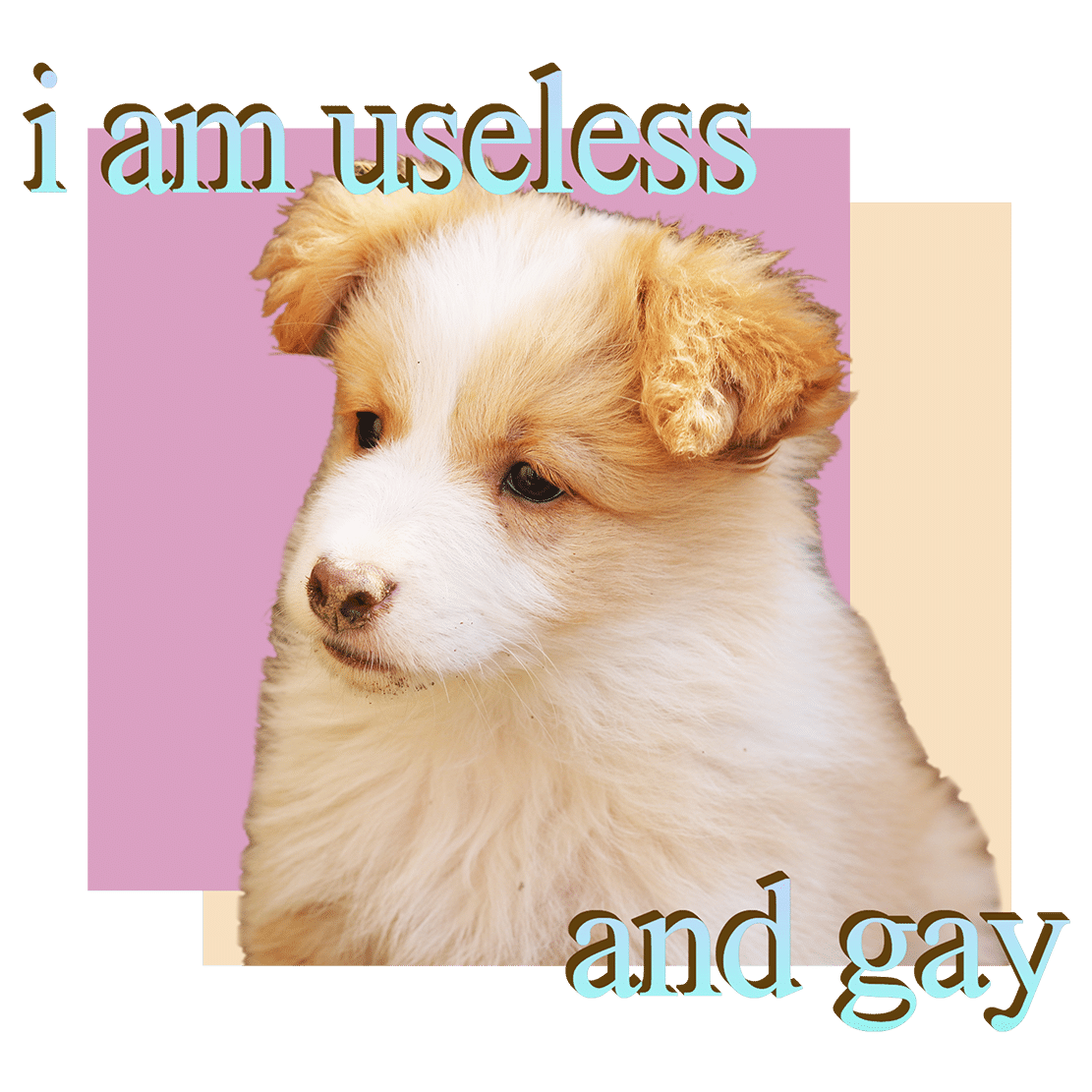 useless and gay – dogecore