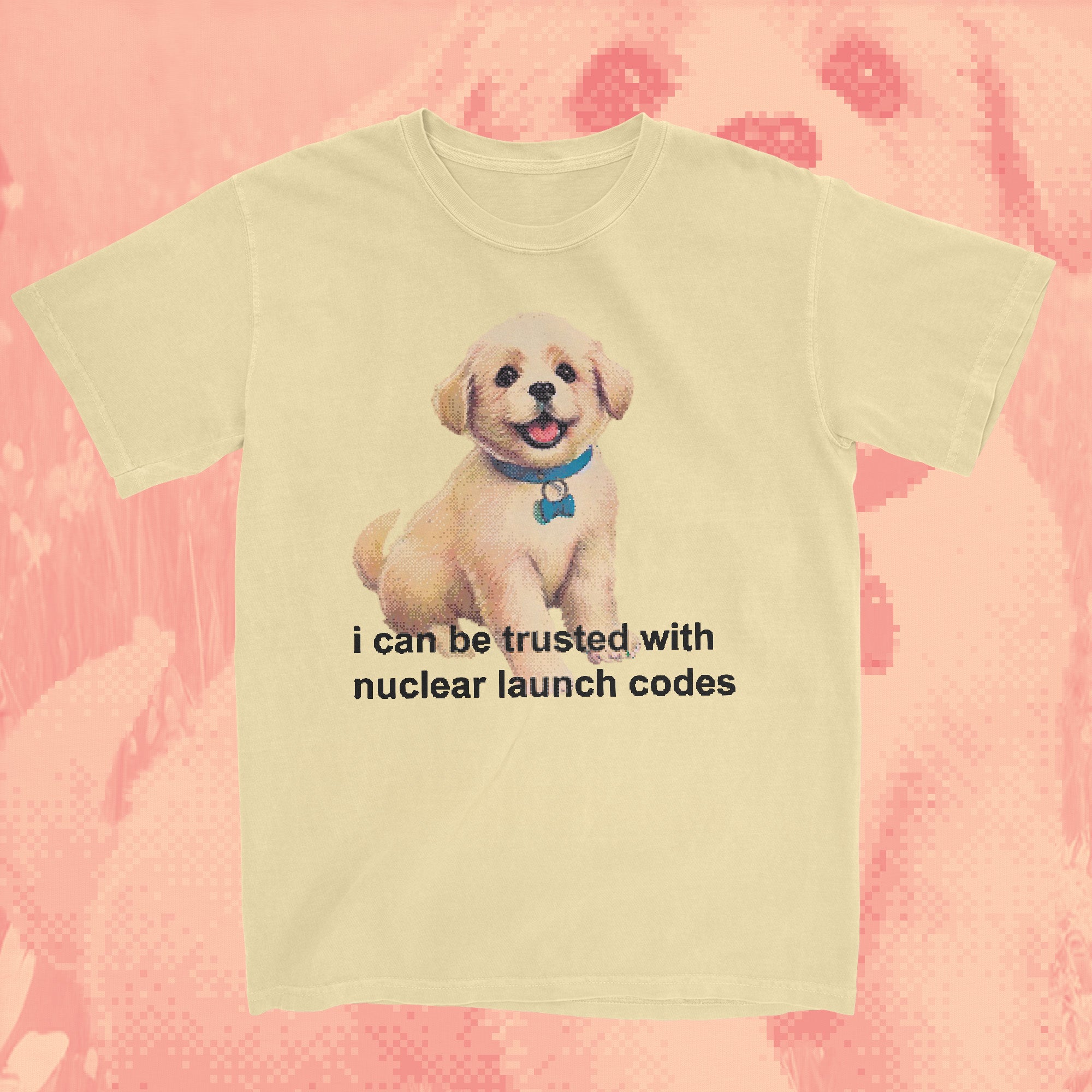 i can be trusted with nuclear launch codes