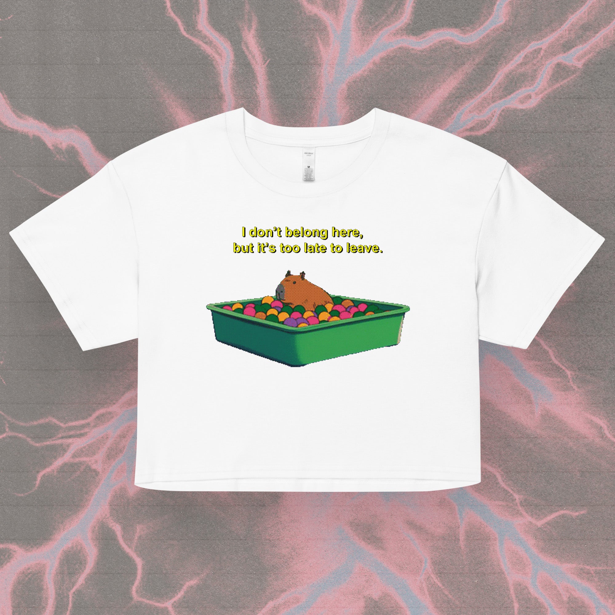 i don't belong here - crop top