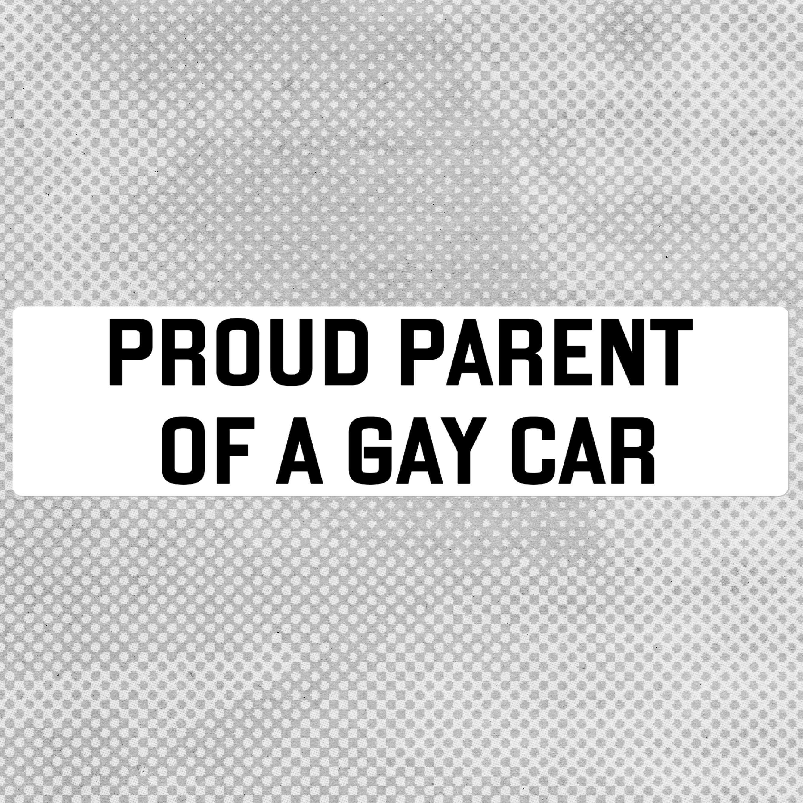 proud parent of a gay car