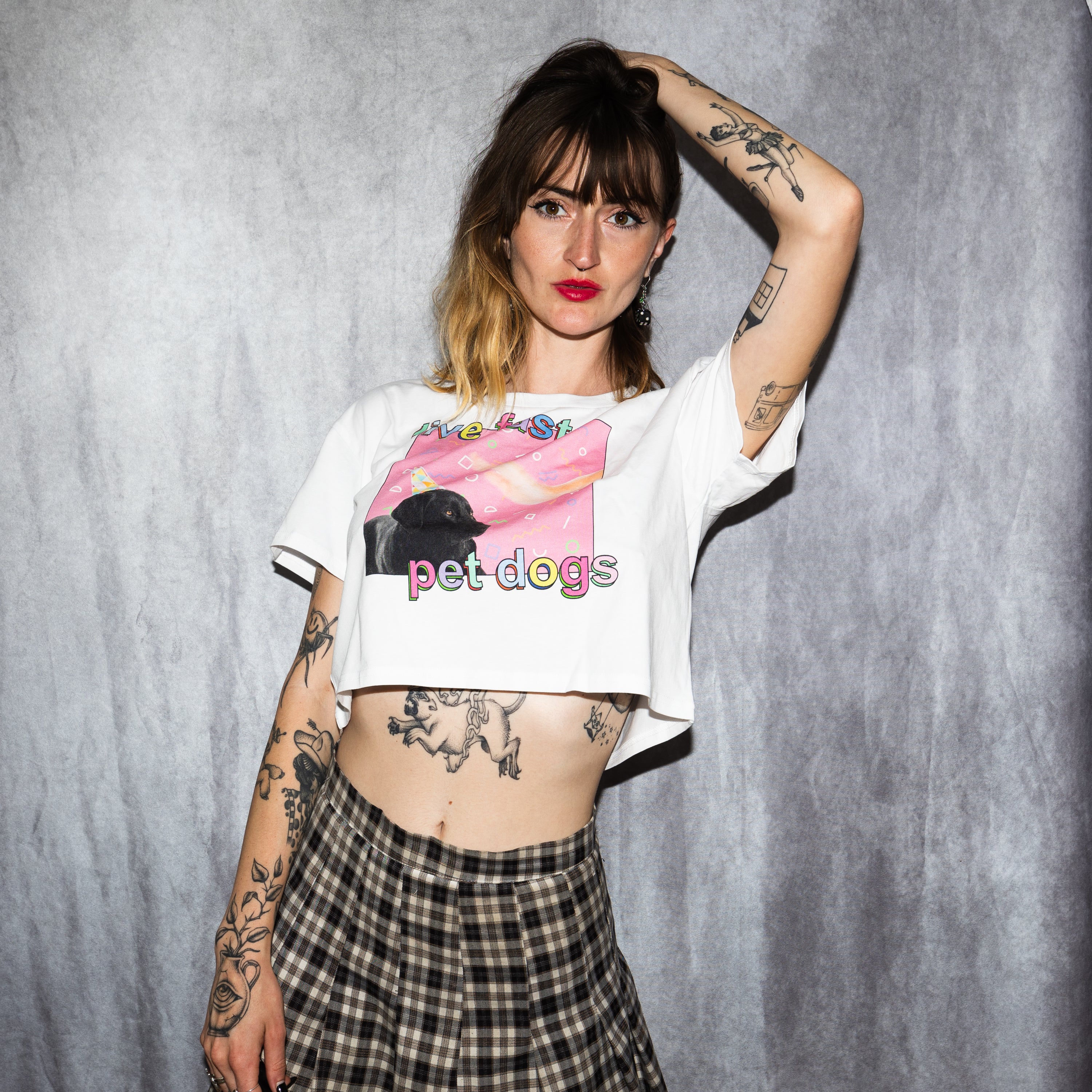 live fast pet dogs - crop top