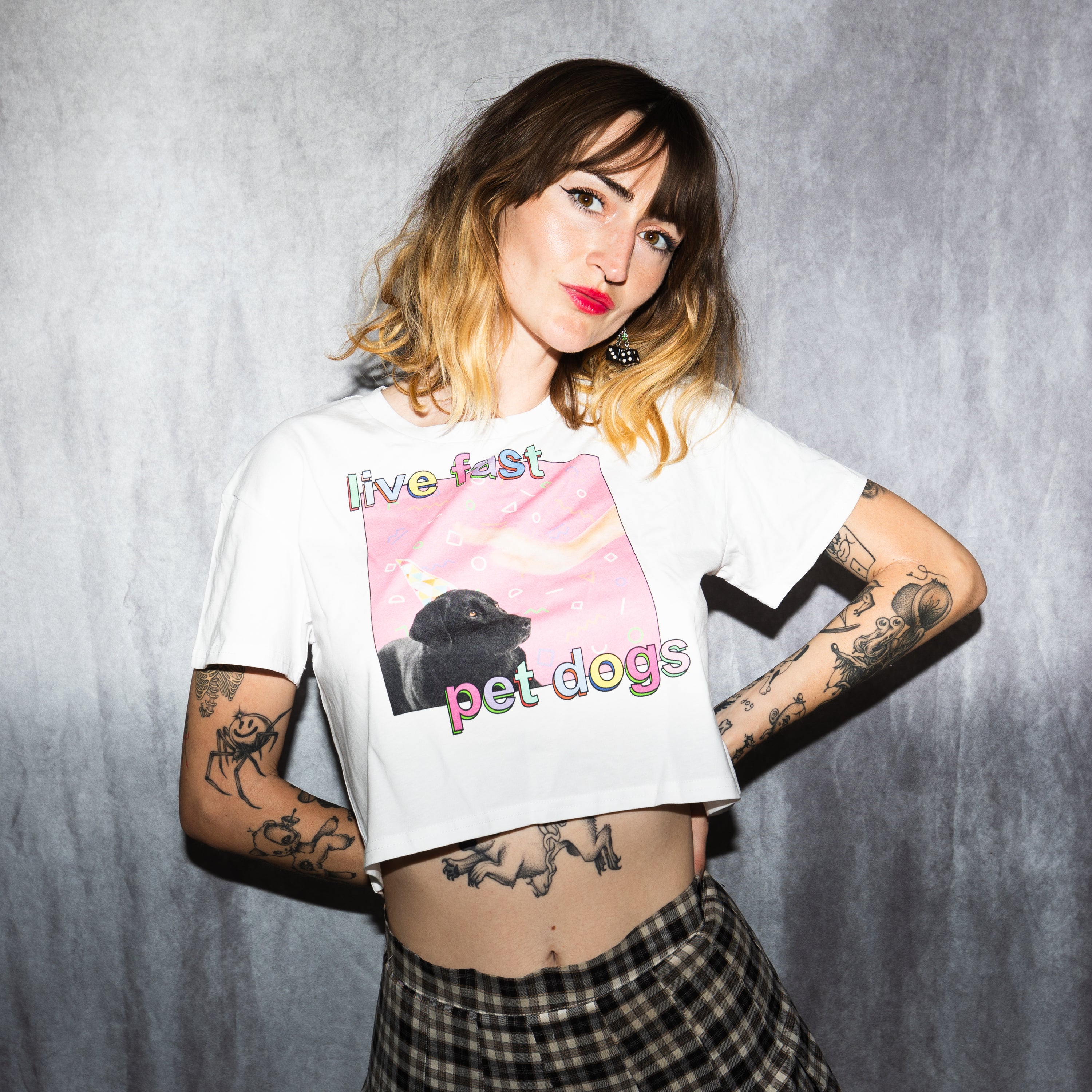 live fast pet dogs - crop top