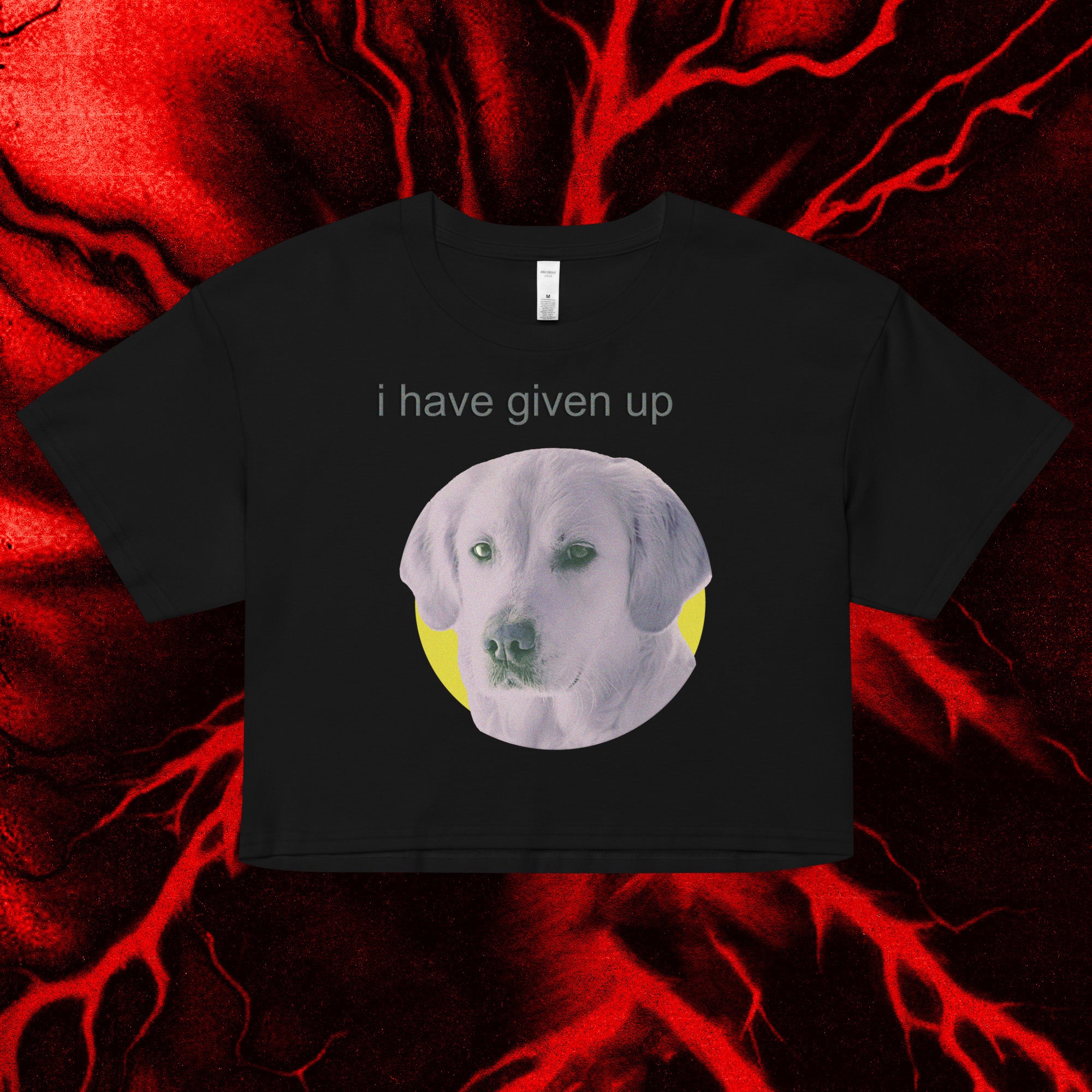 i have given up - crop top