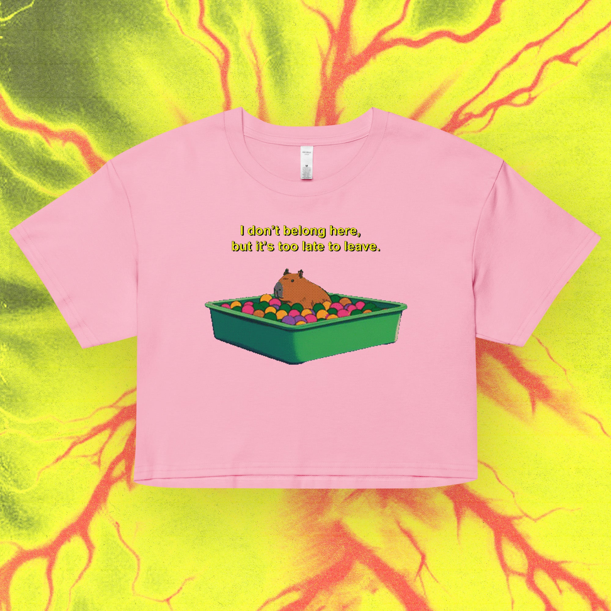 i don't belong here - crop top