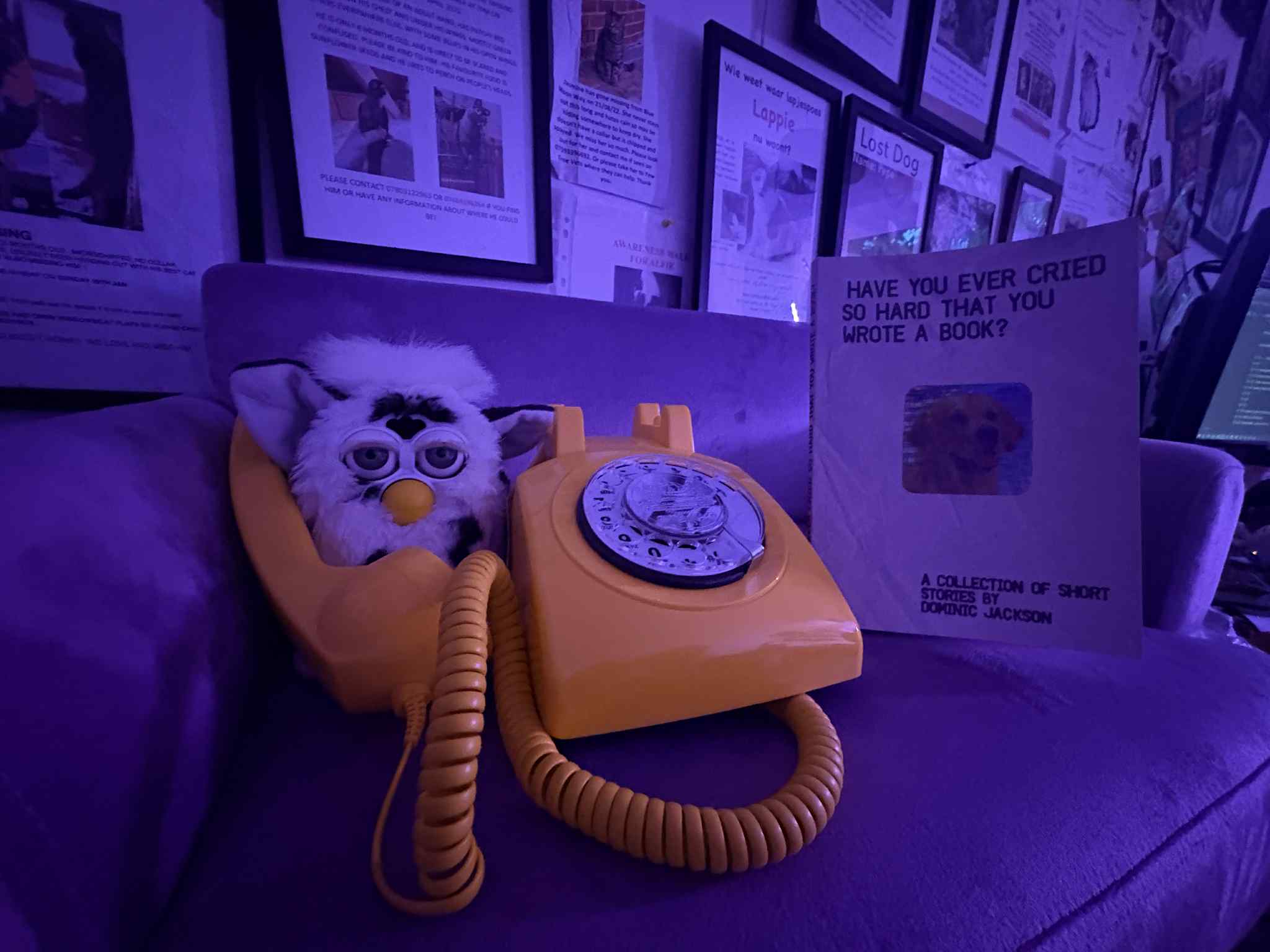 Have you ever cried so hard that you wrote a book?