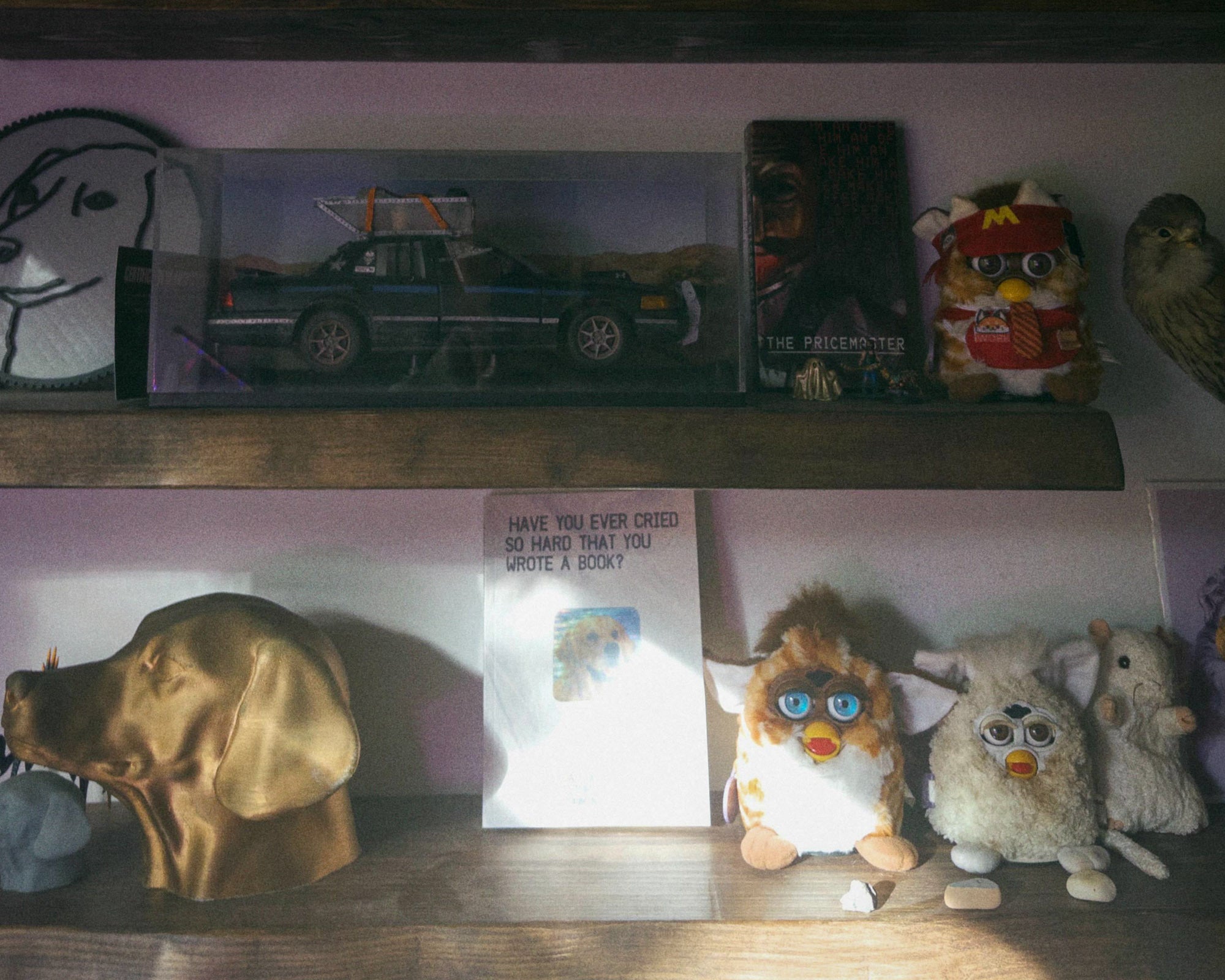 Have you ever cried so hard that you wrote a book?