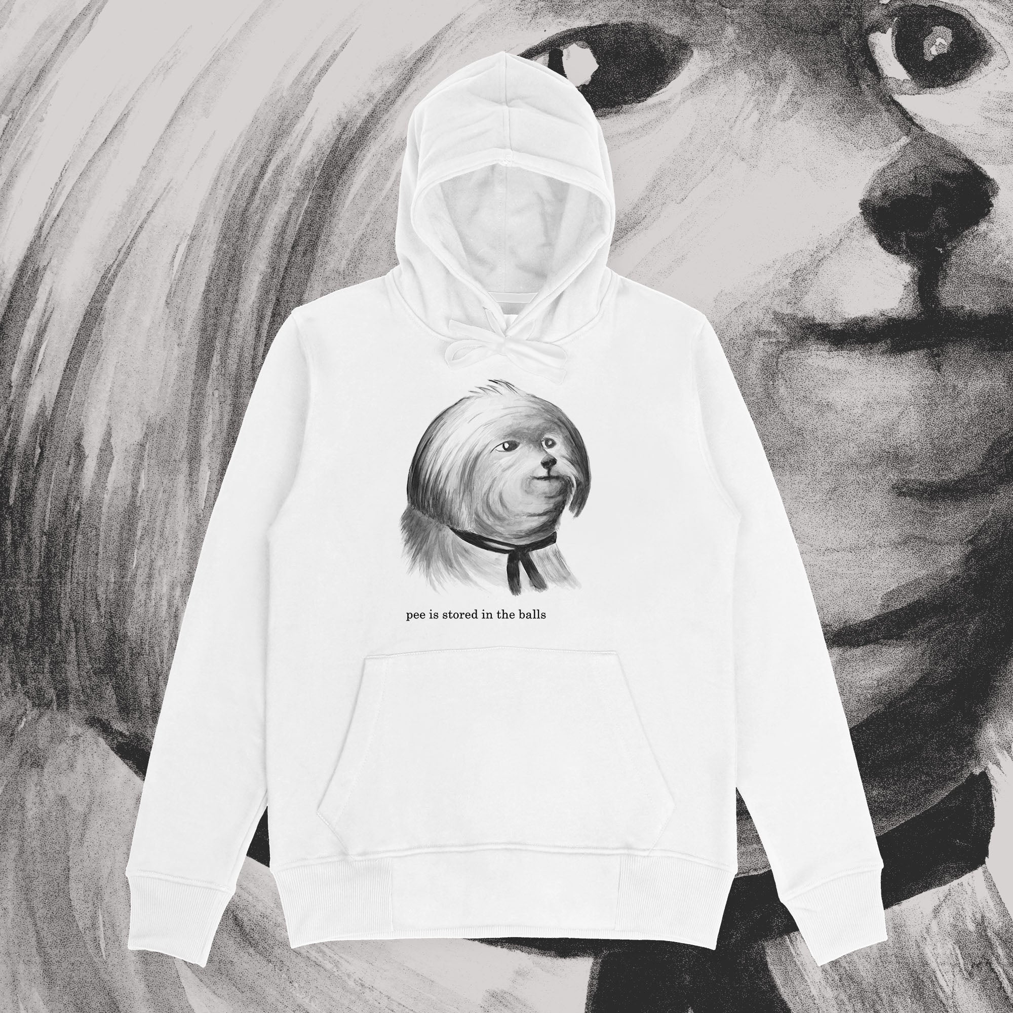 A hoodie with a design.