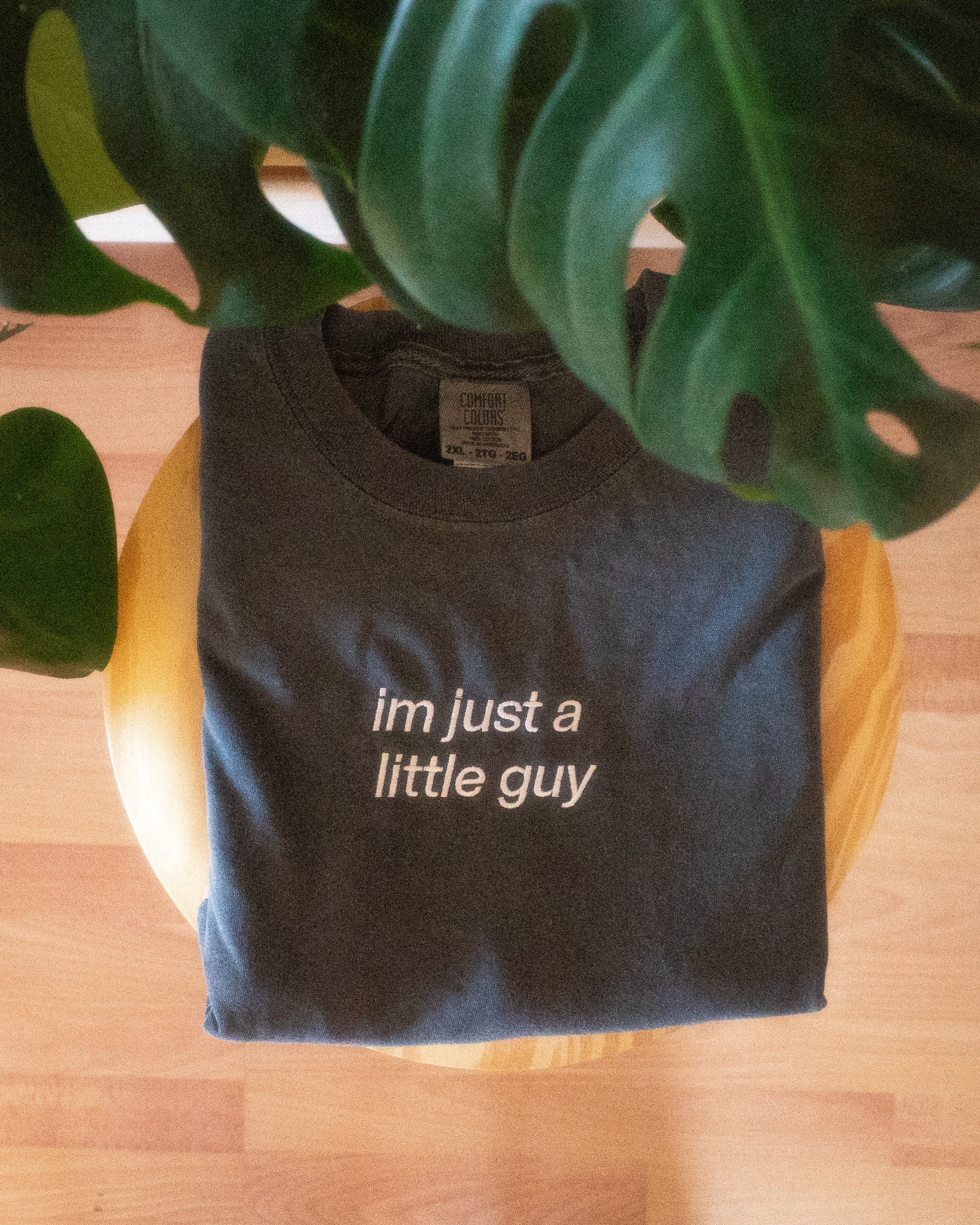 im just a little guy