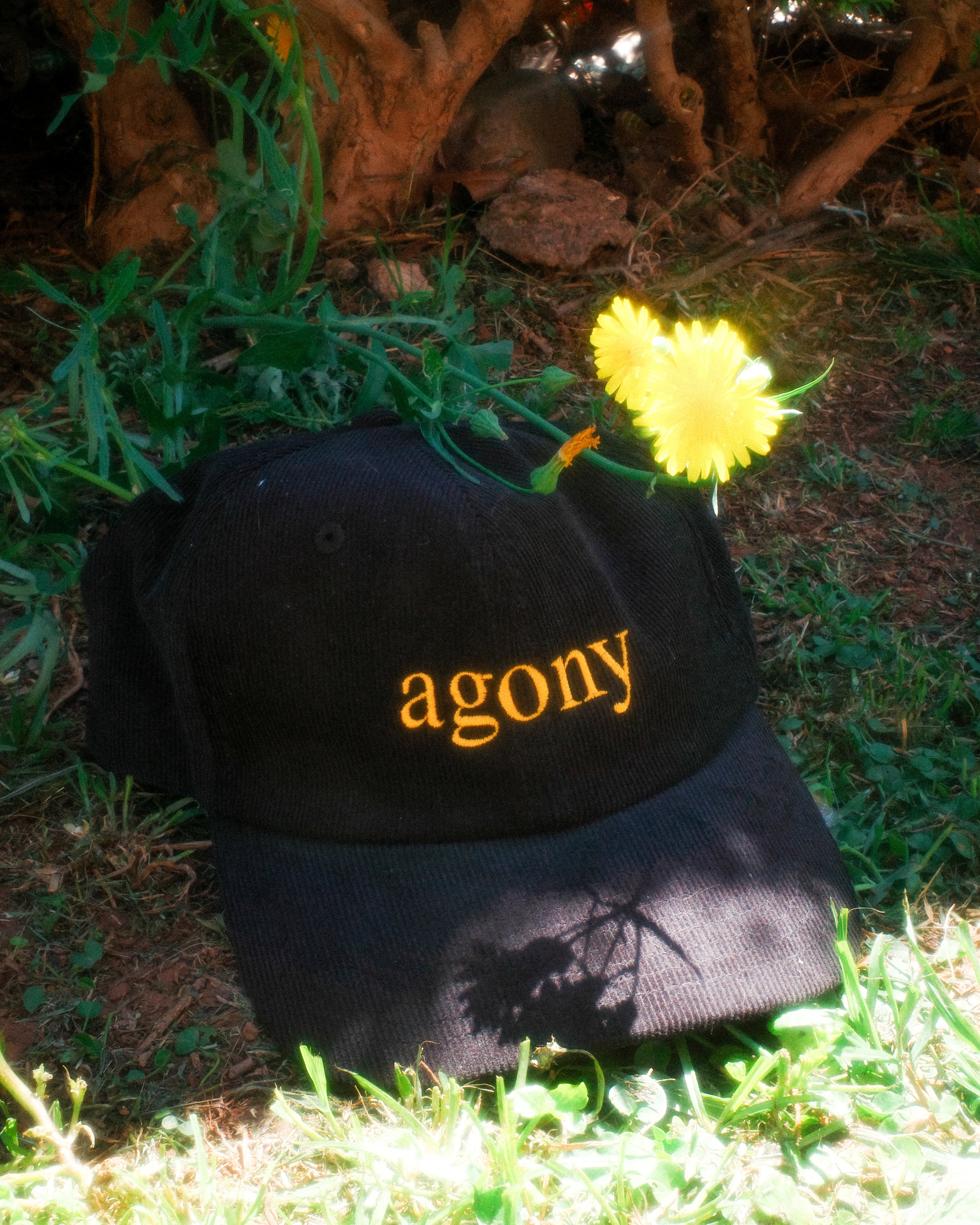 agony