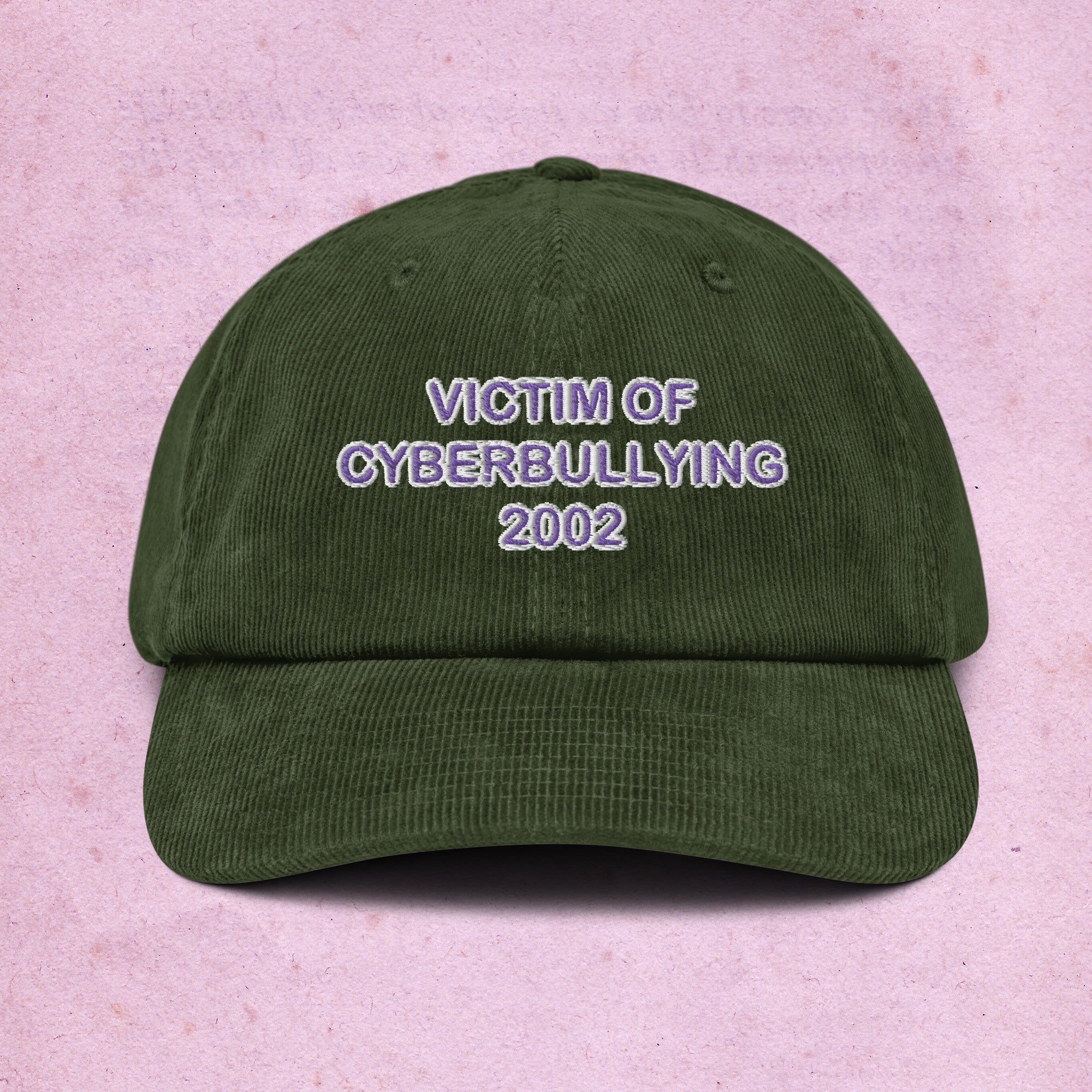 2002 cyberbullying incident