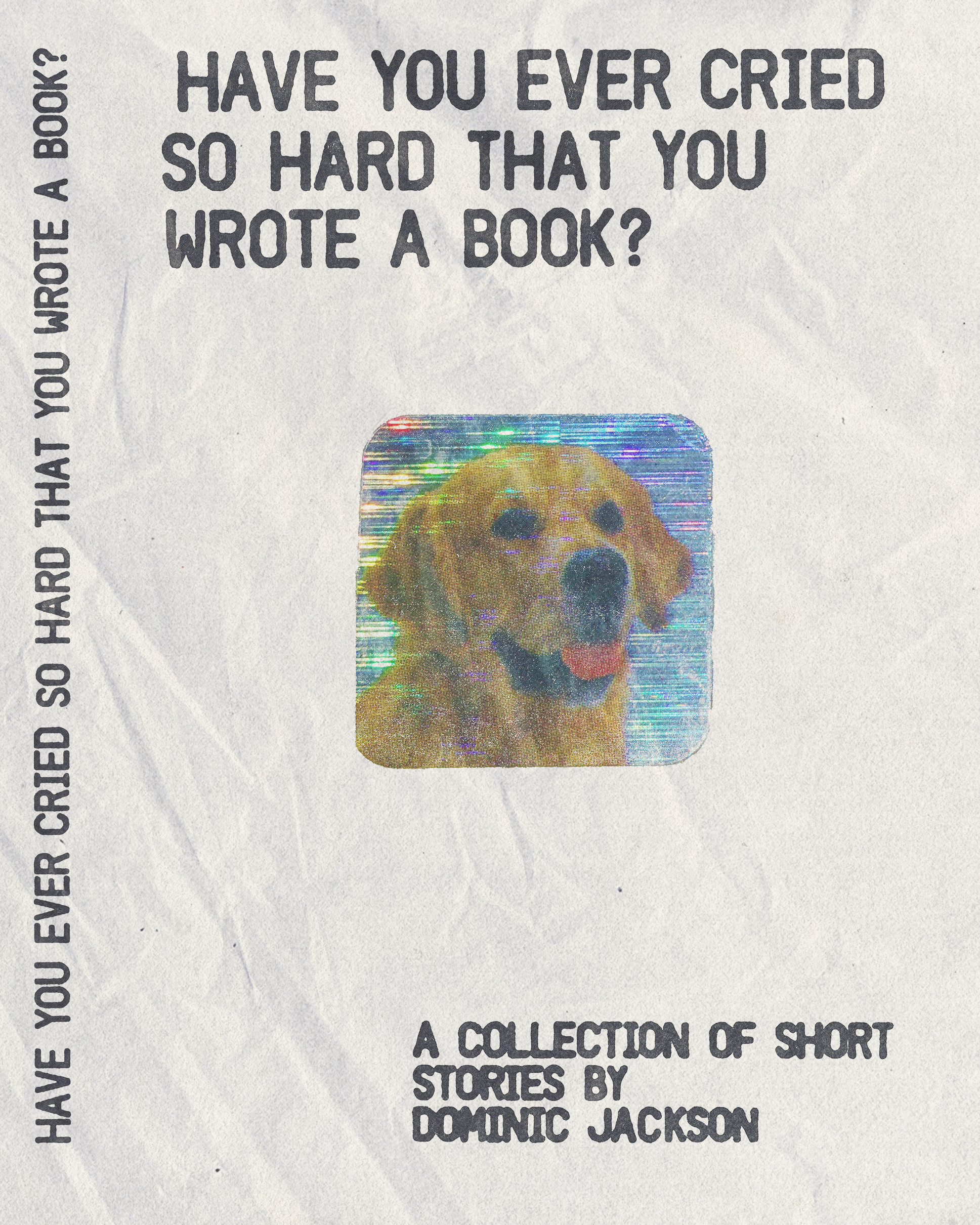 Ebook version - Have you ever cried so hard that you wrote a book?