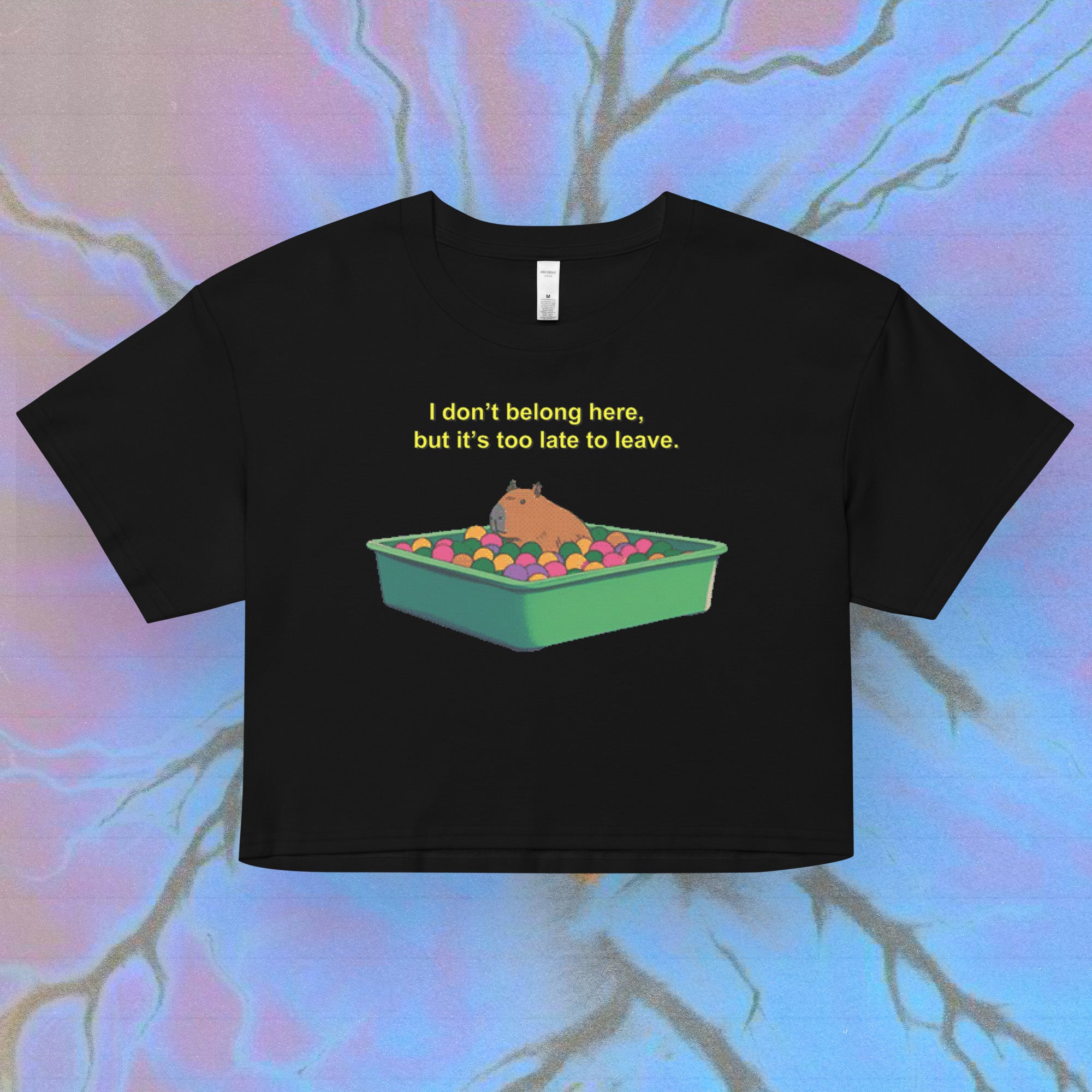 i don't belong here - crop top