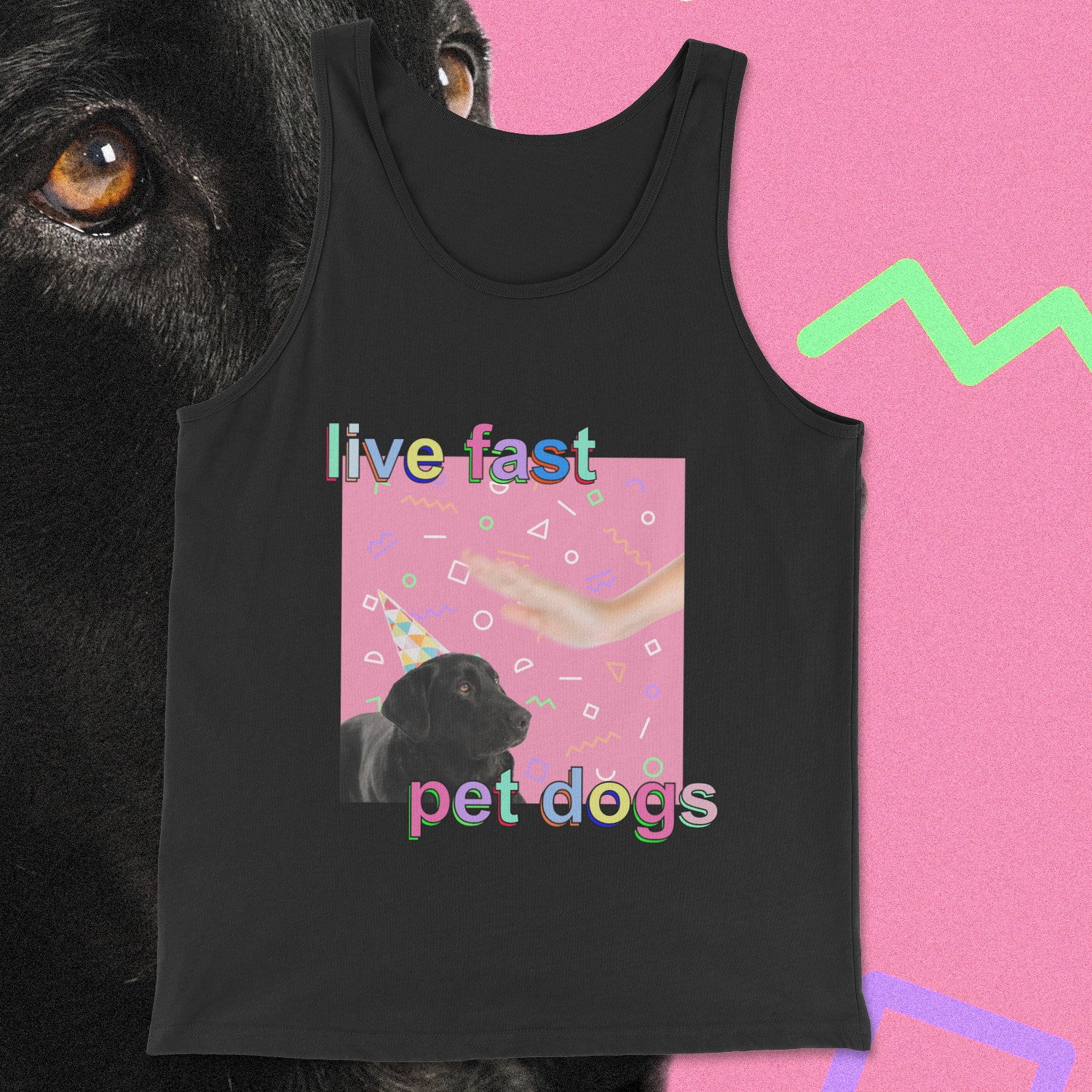 live fast pet dogs