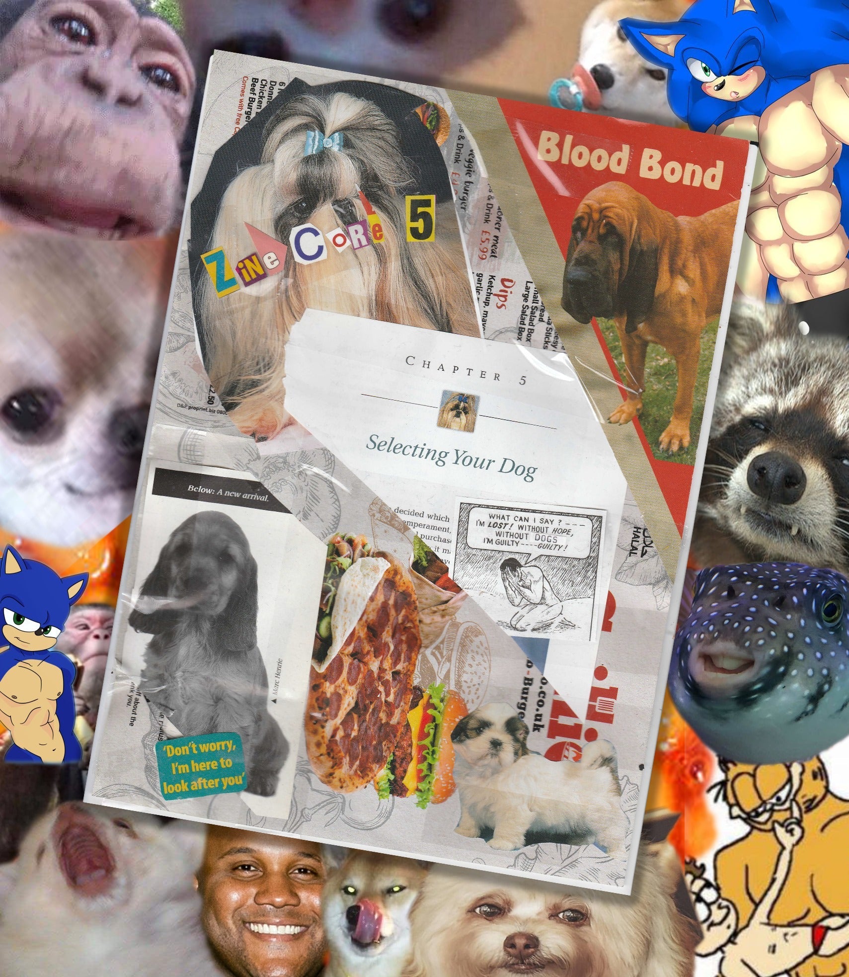 digital zine 3, 4 & 5
