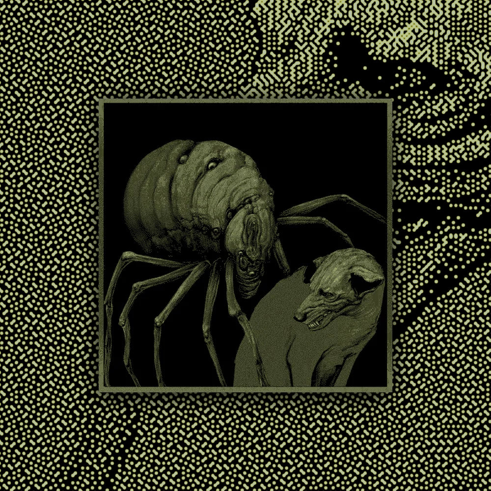 A print with a design.
