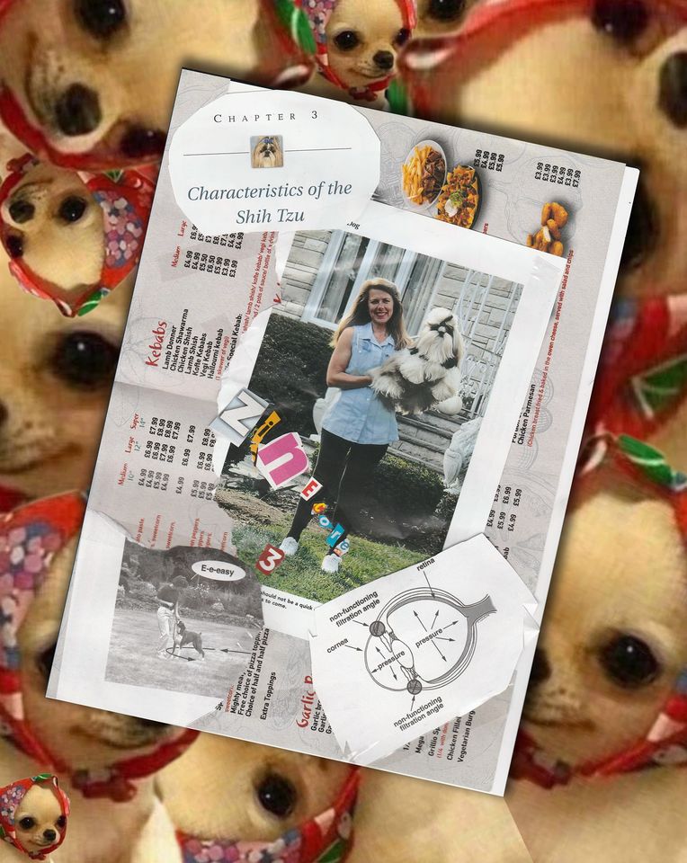dogecore lore forbidden zine subscription