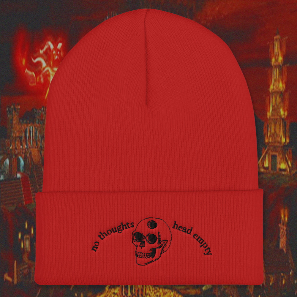 cool skull beanie