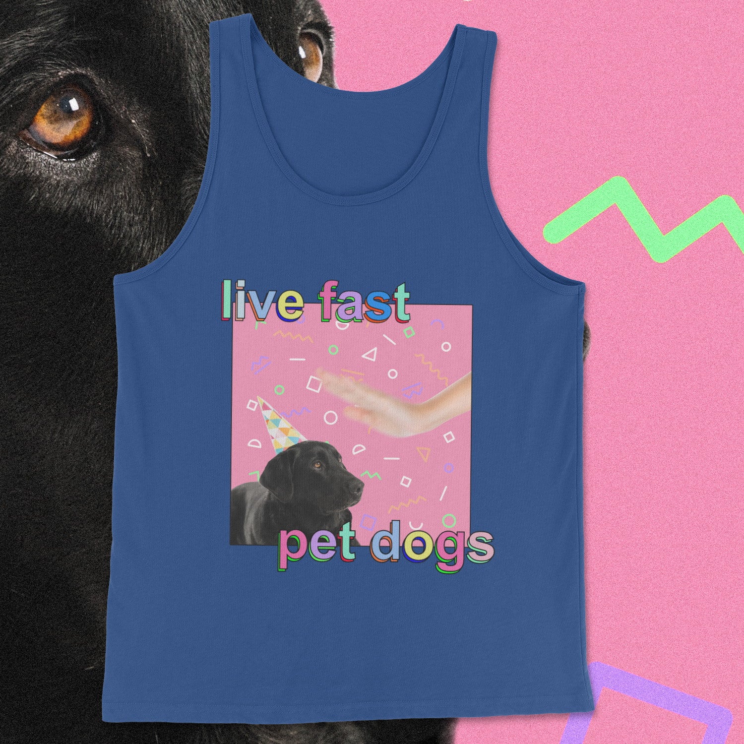 live fast pet dogs