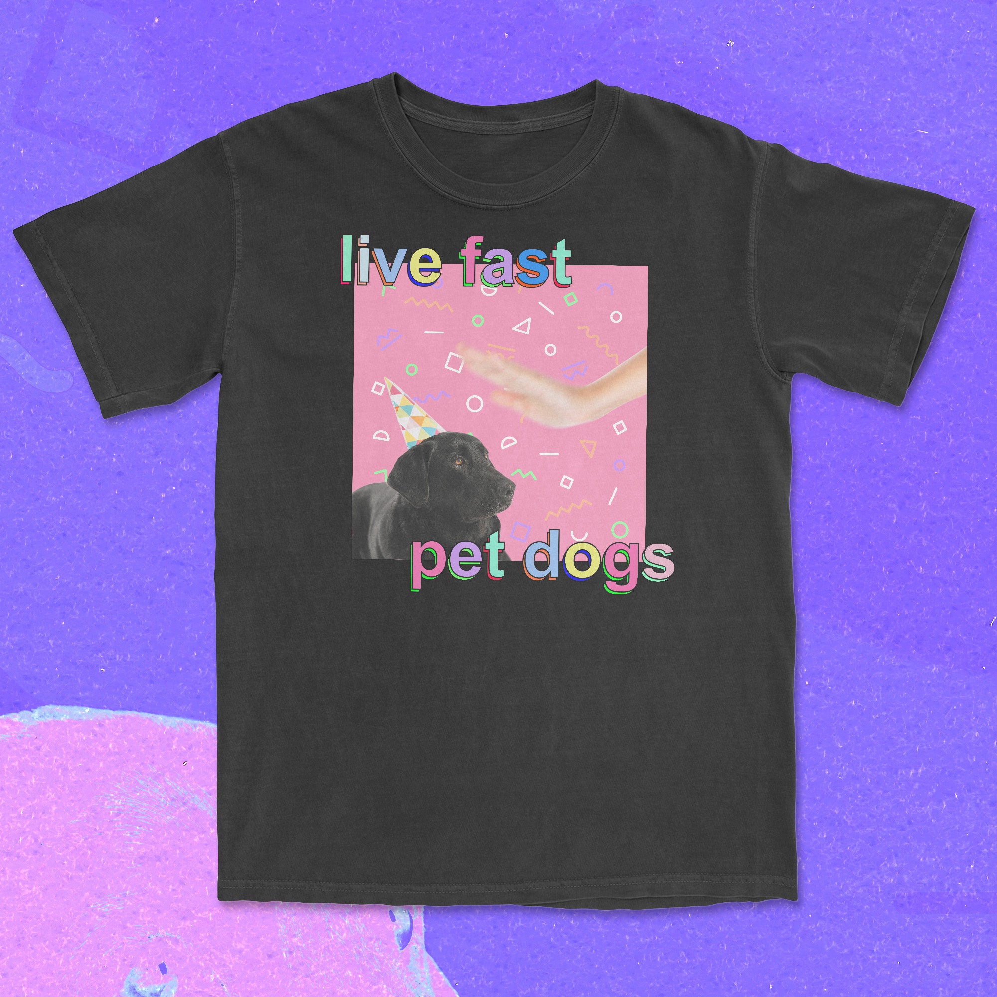 live fast pet dogs