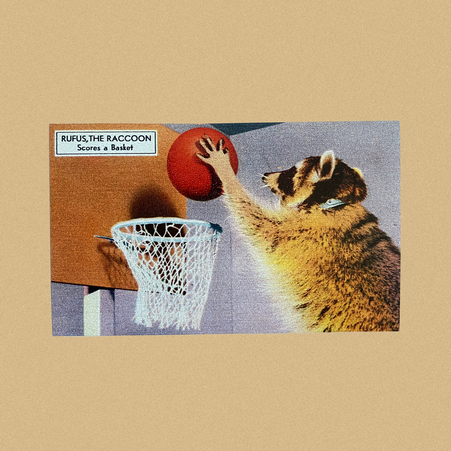 american dream set