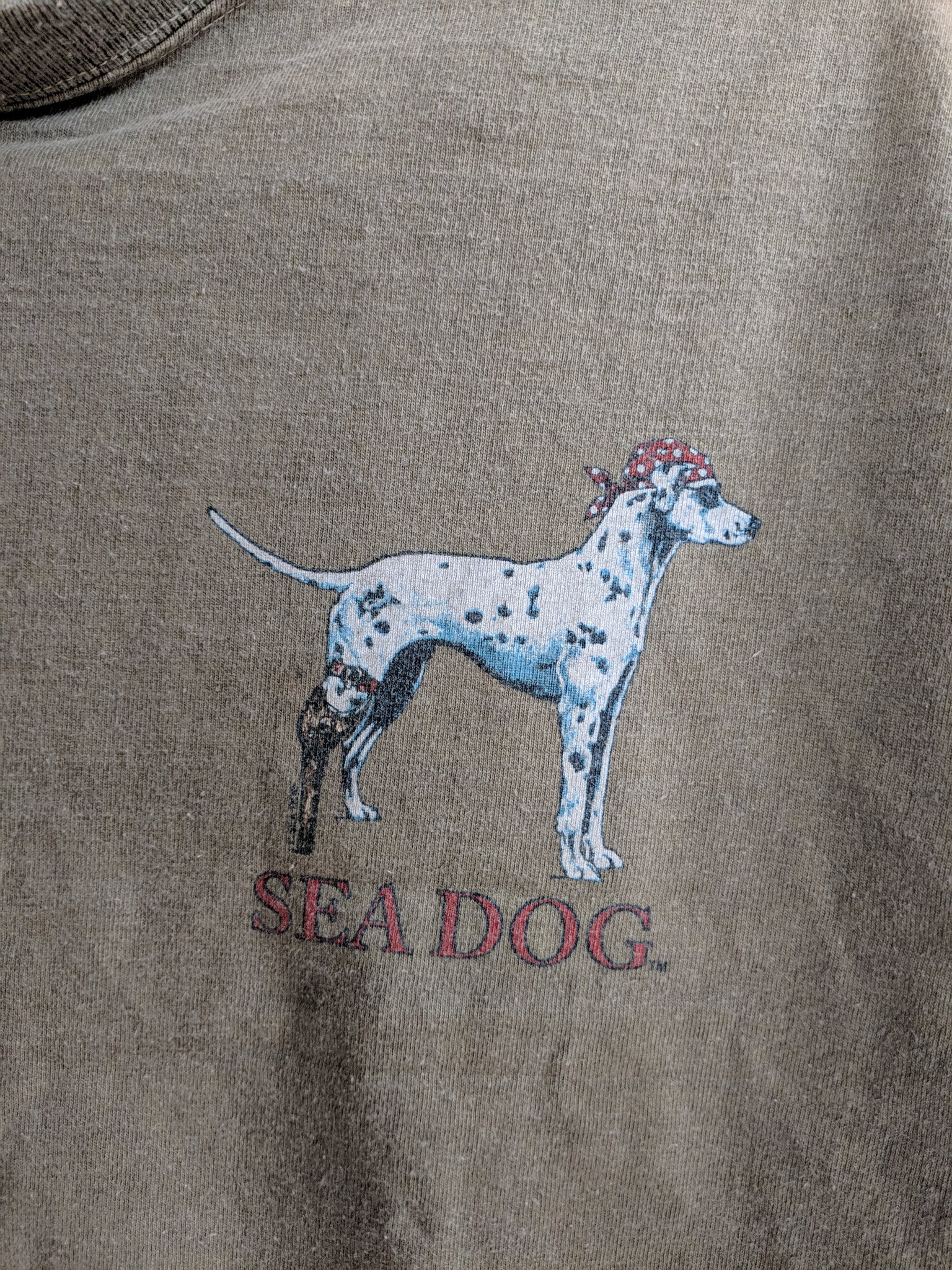 sea dog the dog of the sea
