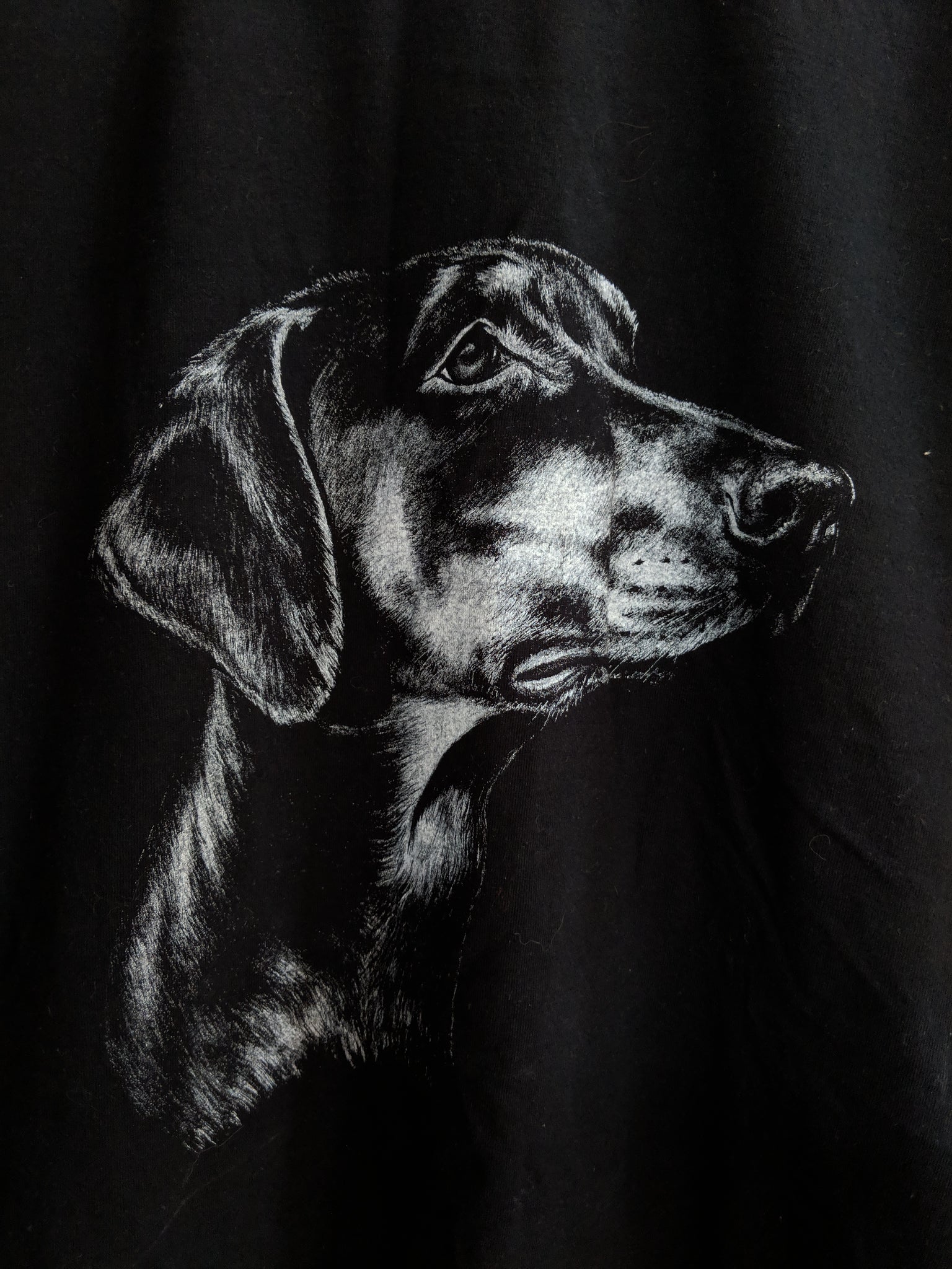 regular black dog