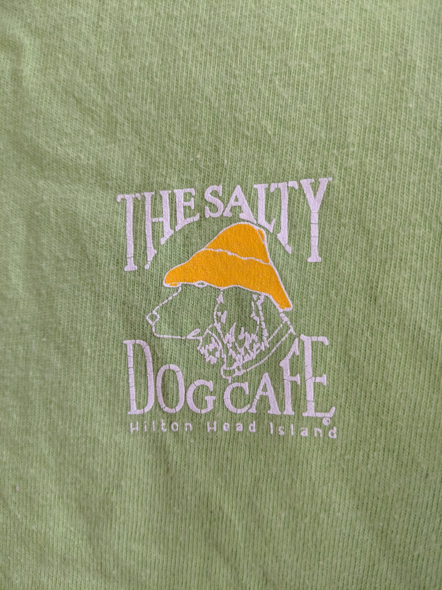dog wearing a tiny hat
