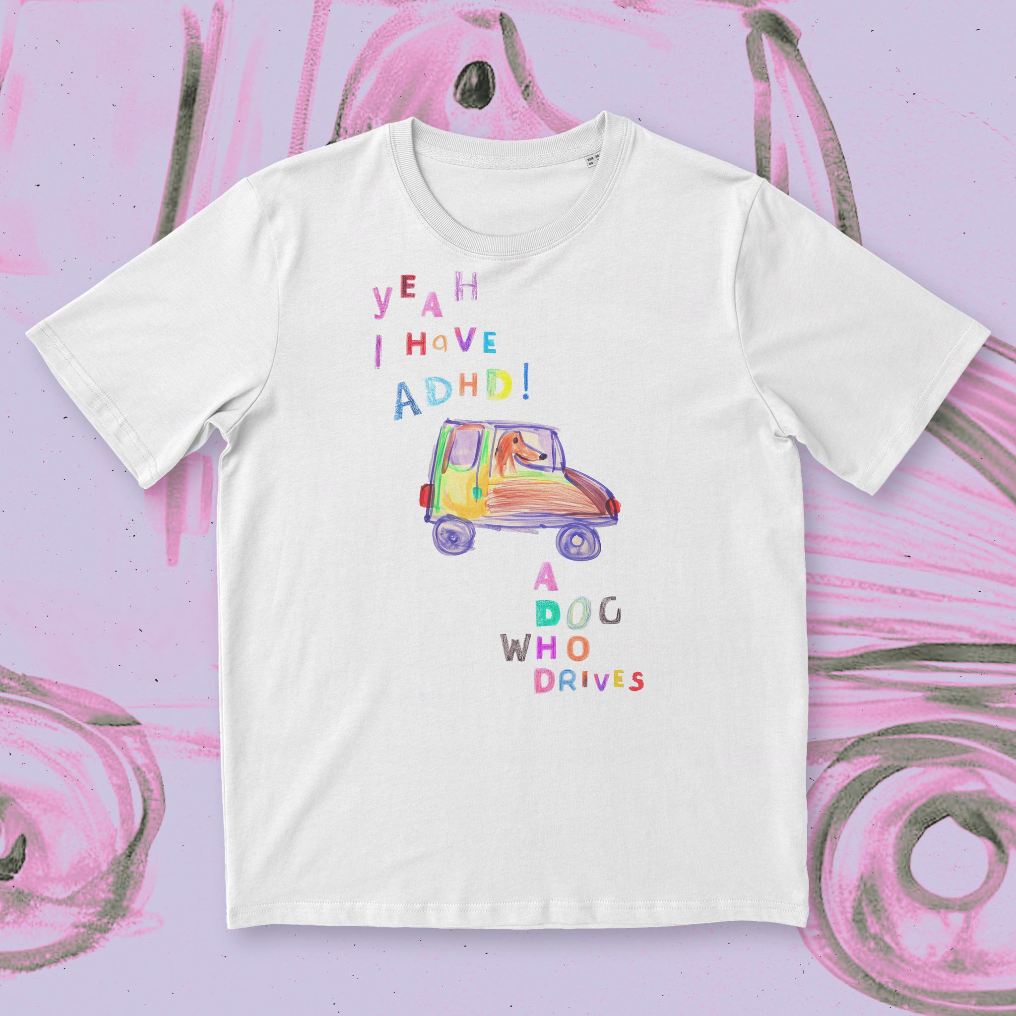 a dog who drives