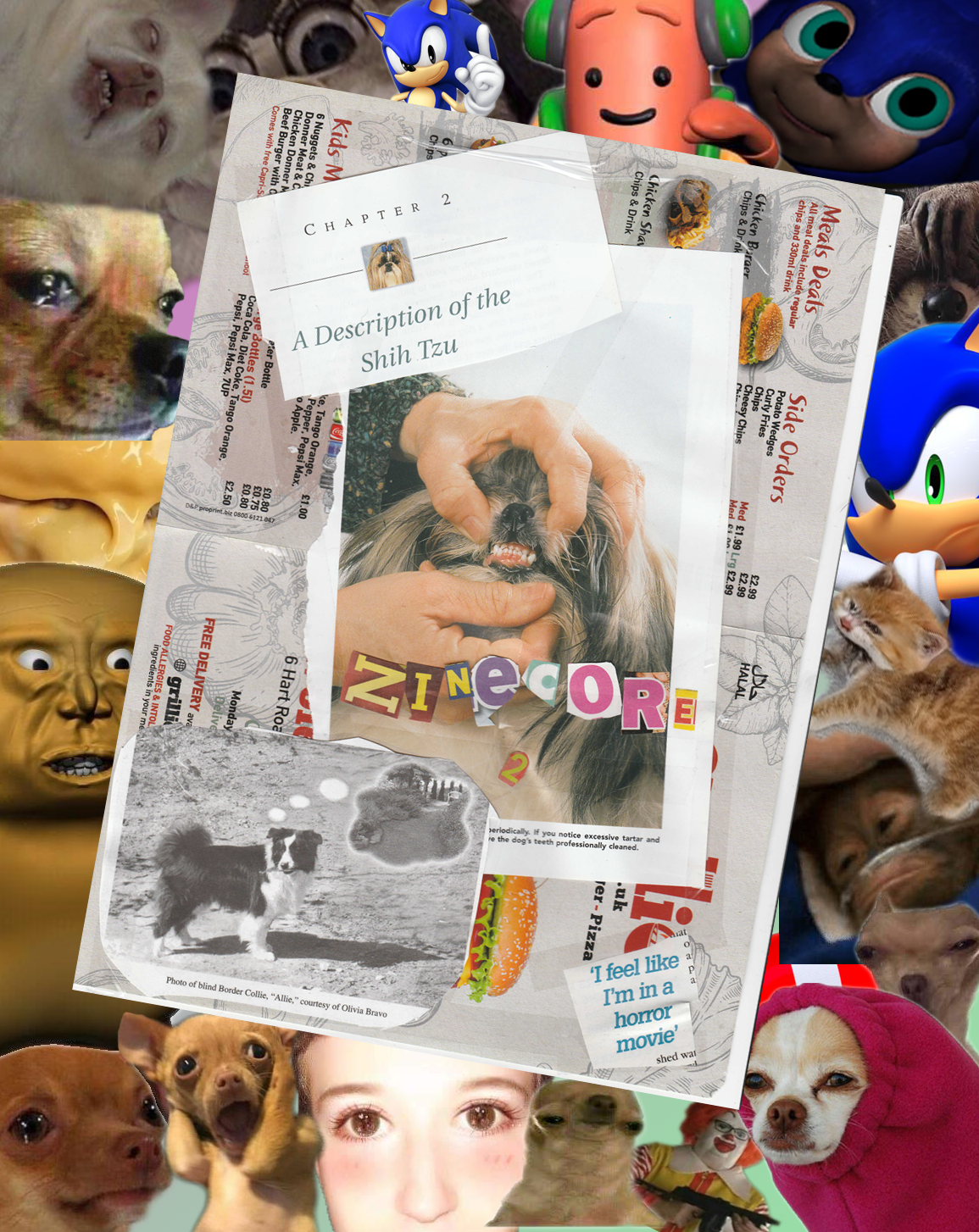 Digital zine.