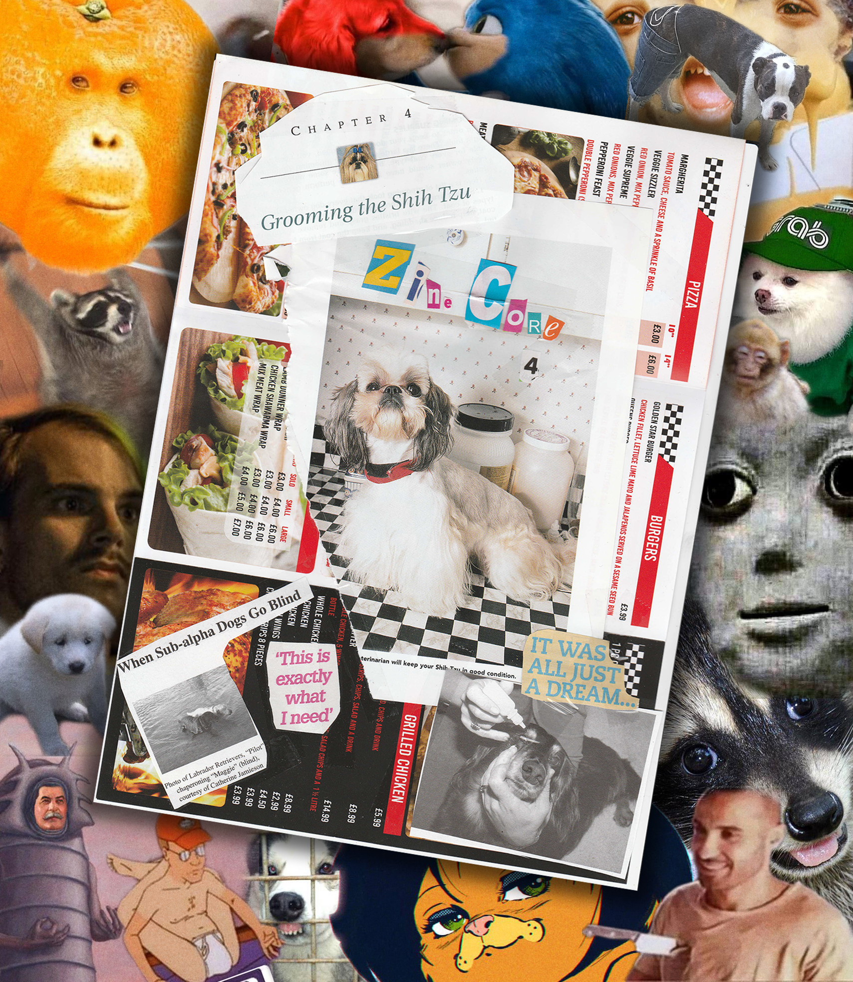 Digital zine.