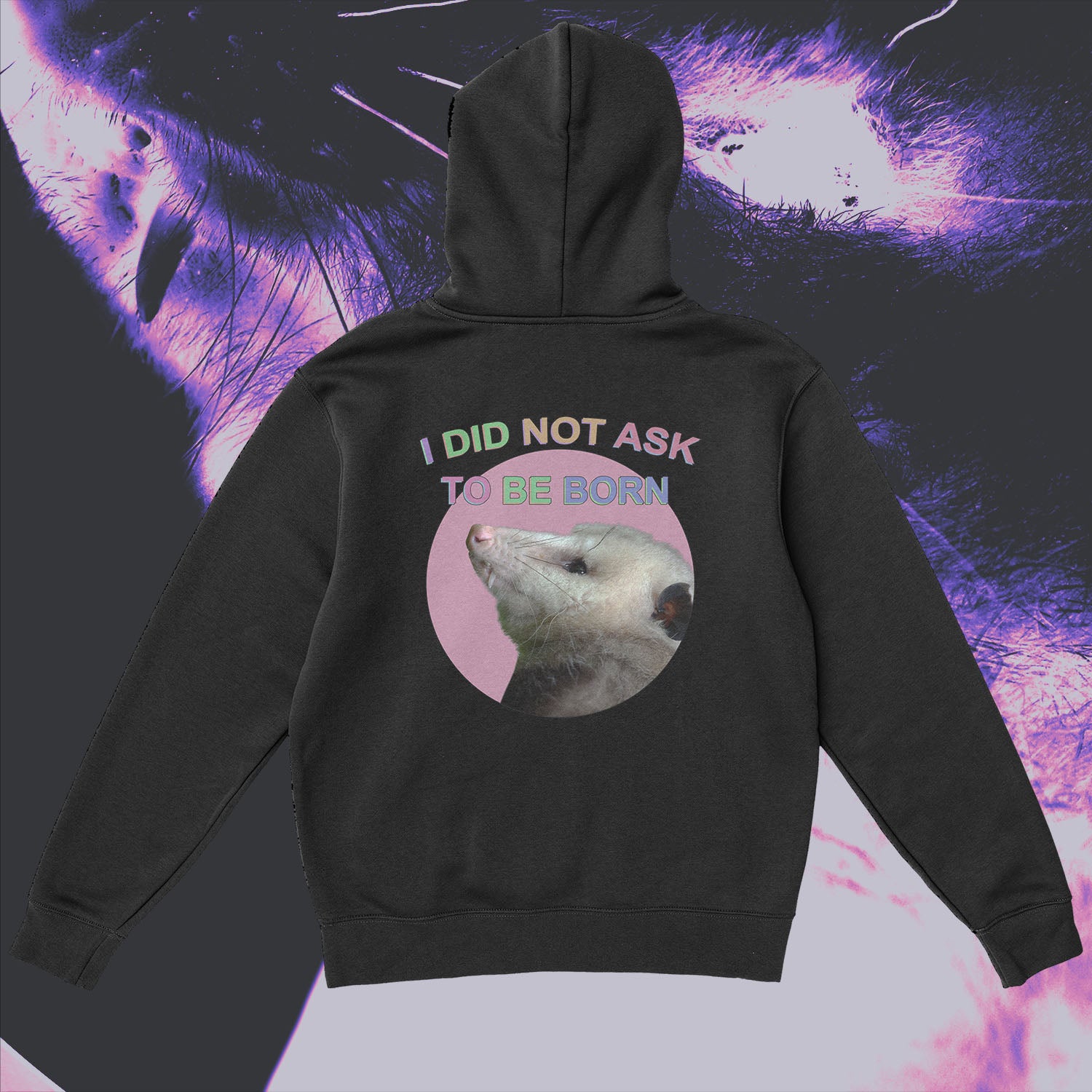 i did not ask to be born