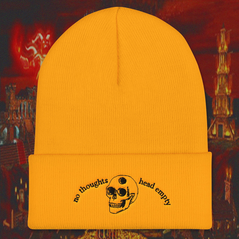 cool skull beanie
