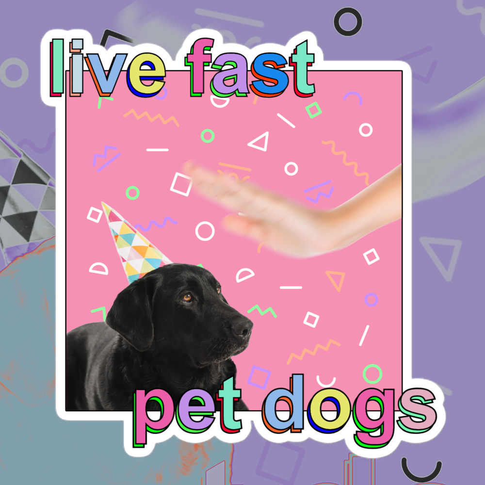 live fast pet dogs