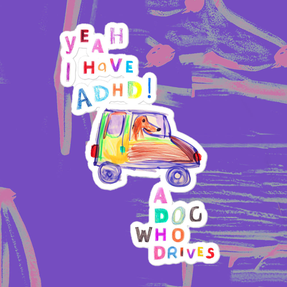 a dog who drives