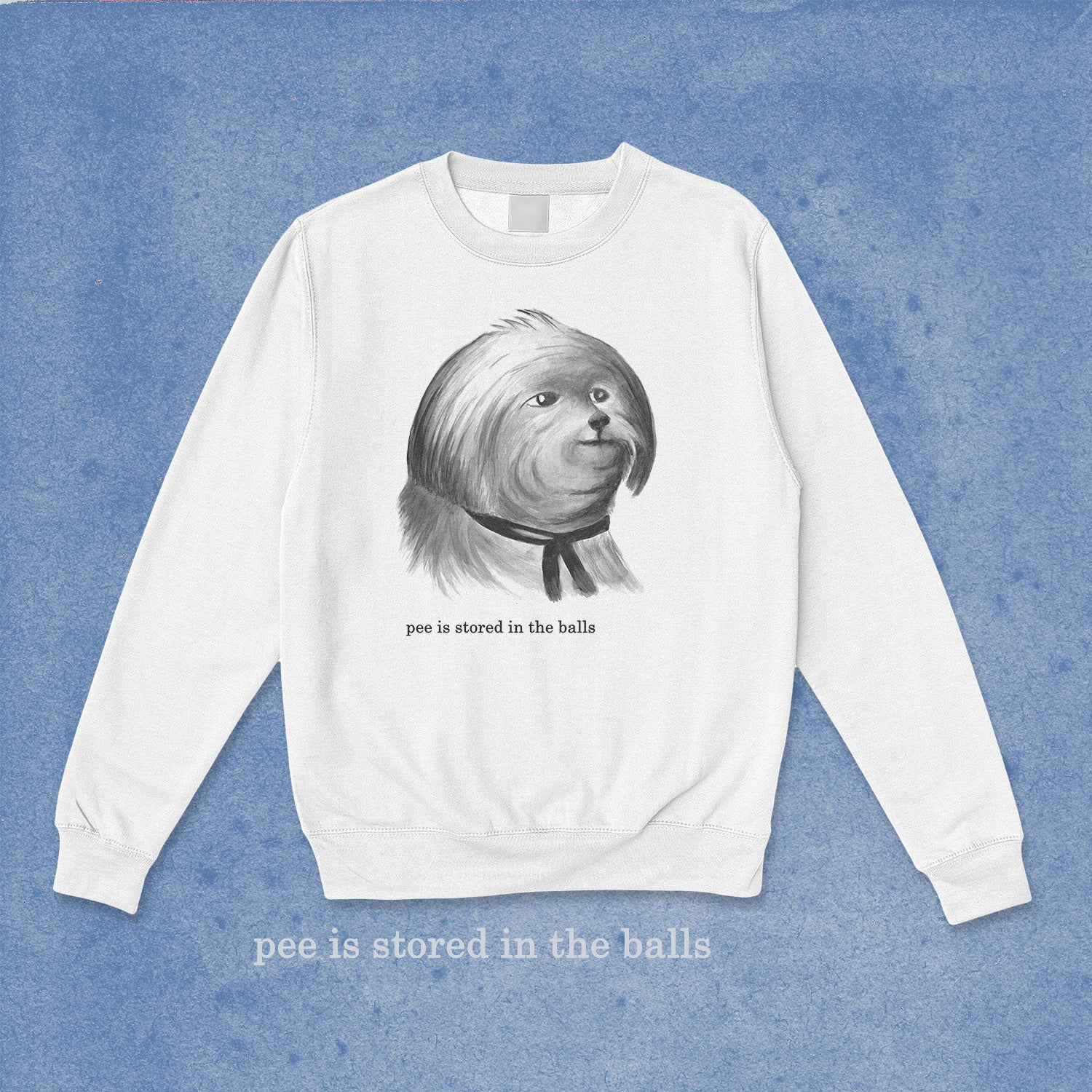 A sweatshirt.