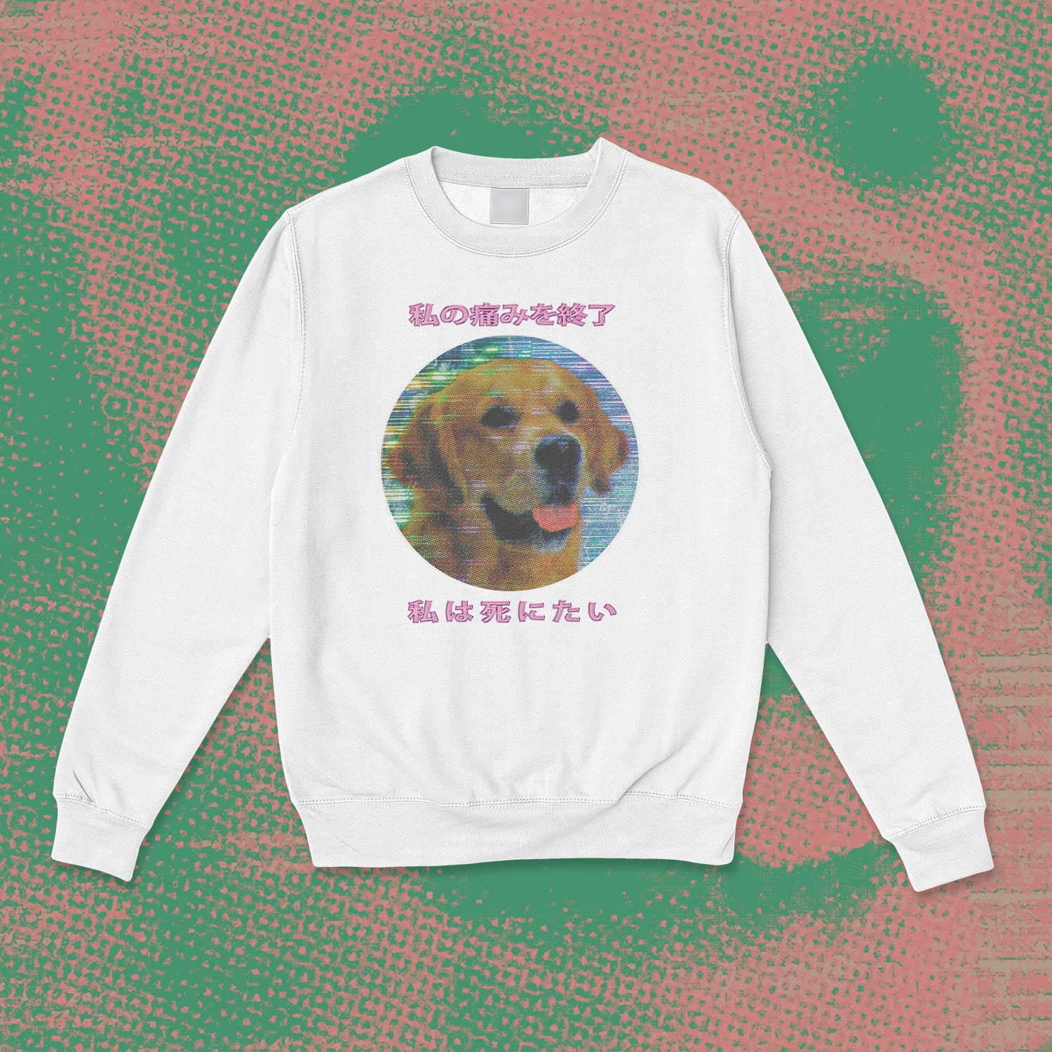 A sweatshirt.