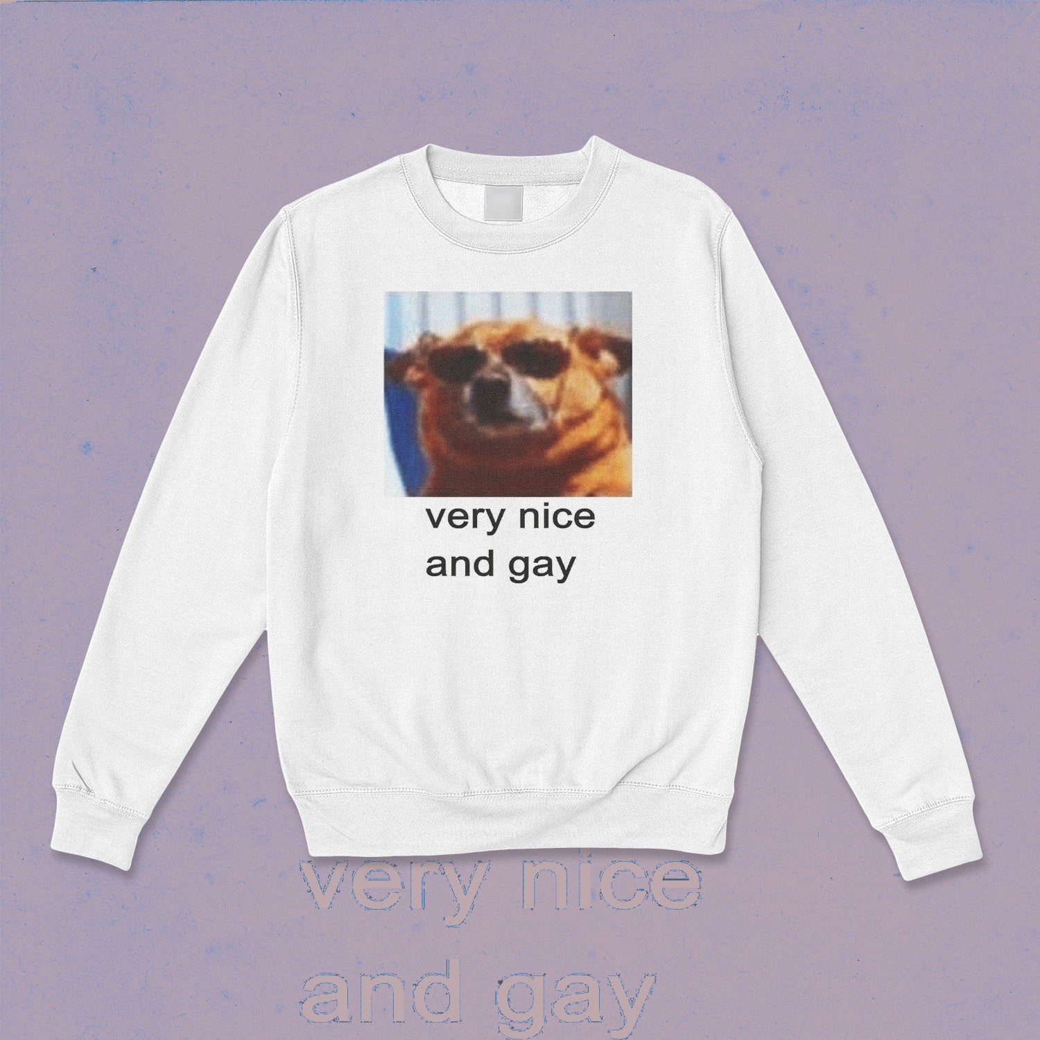very nice and gay