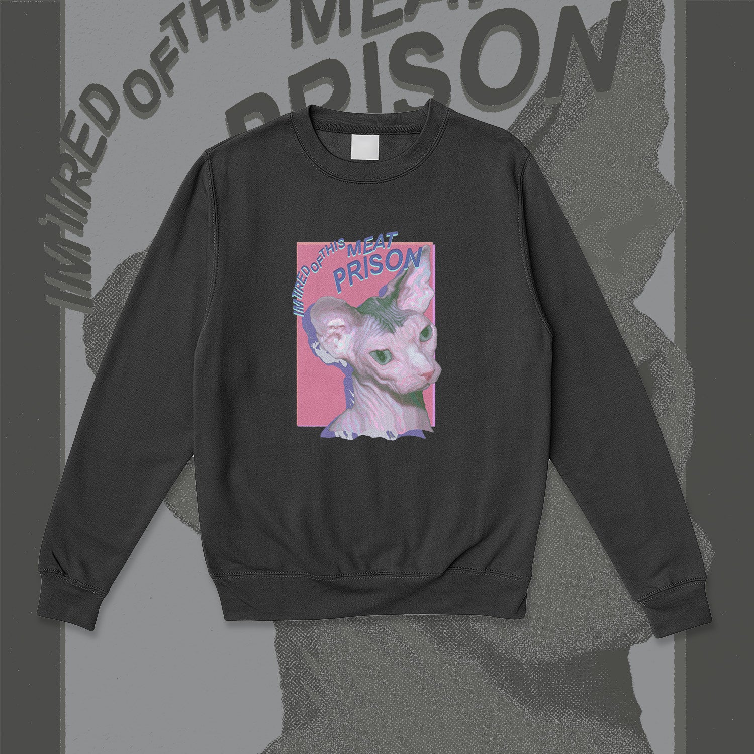 A sweatshirt.