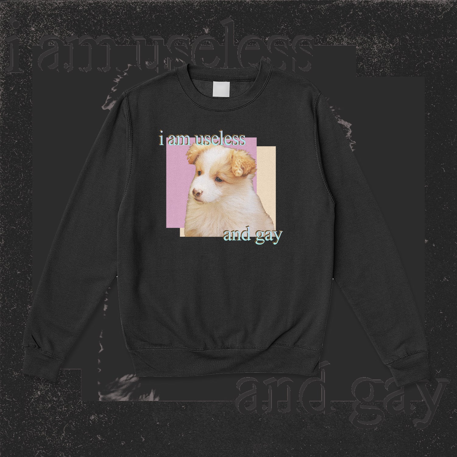 A sweatshirt.