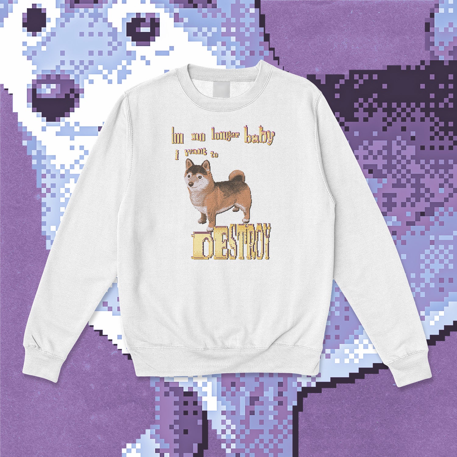 A sweatshirt.