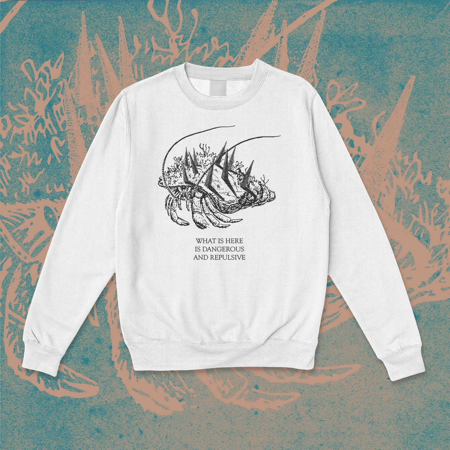A sweatshirt.