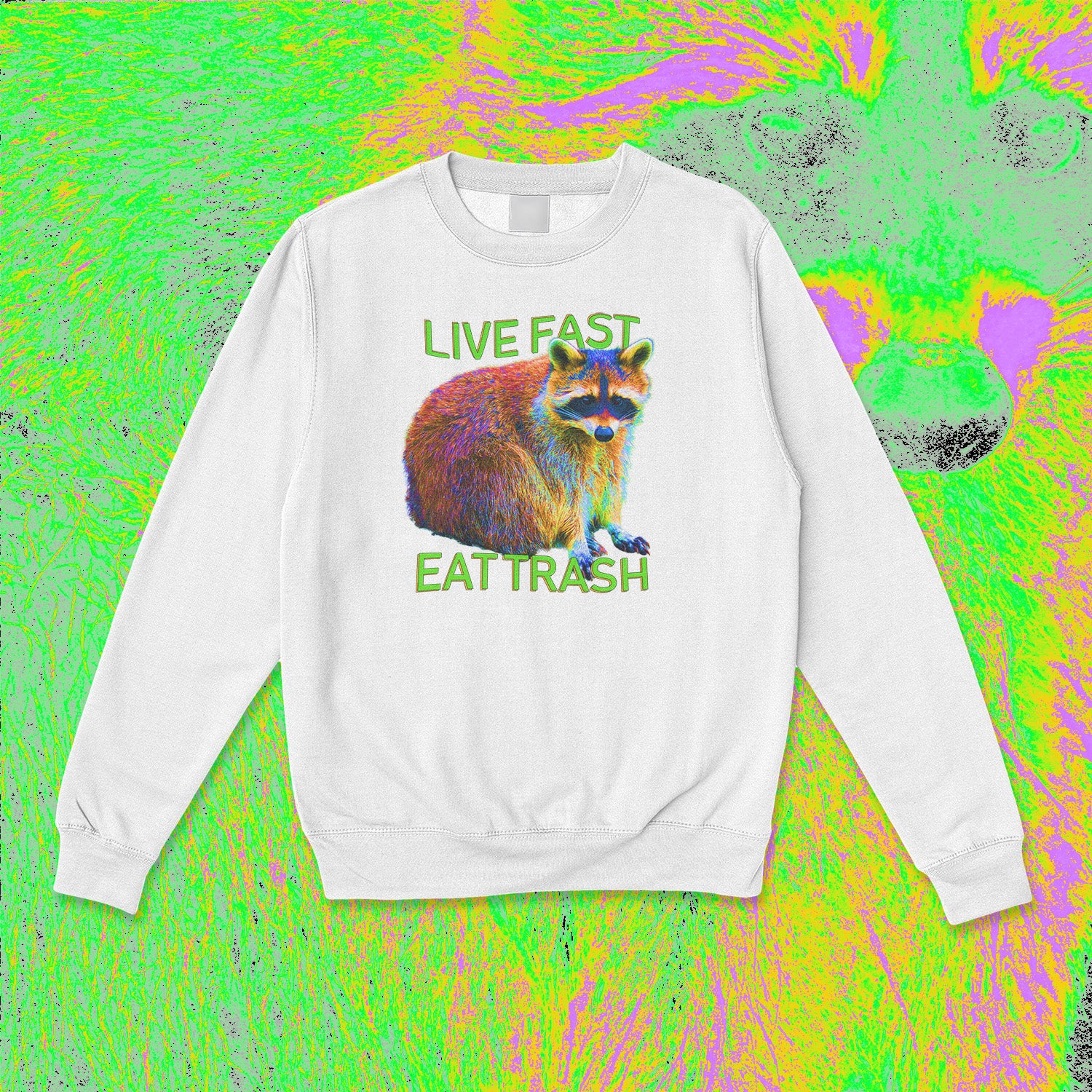 A sweatshirt.