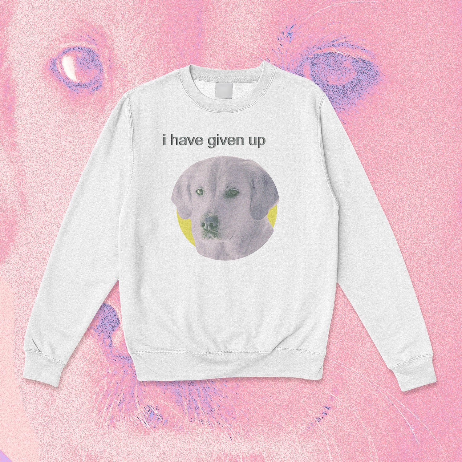 A sweatshirt.