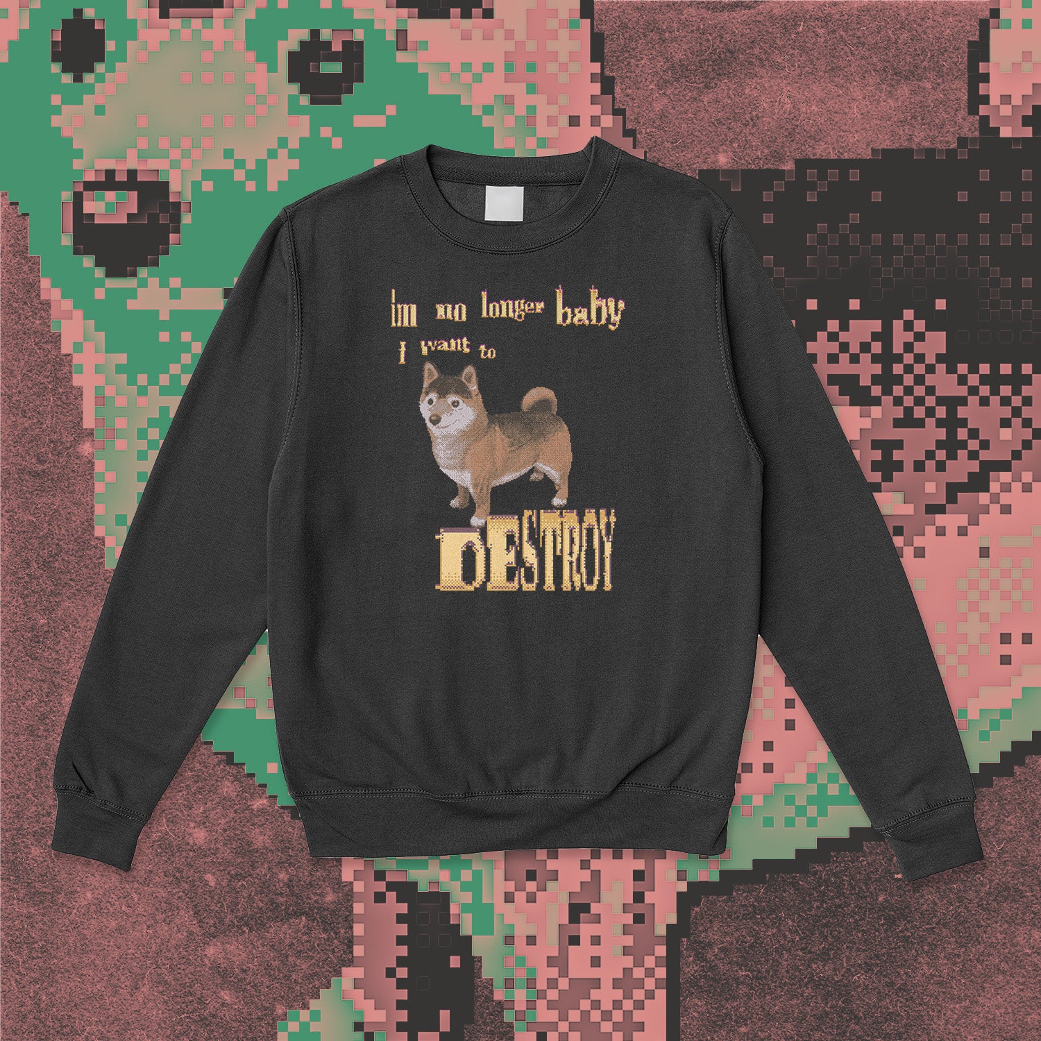 A sweatshirt.
