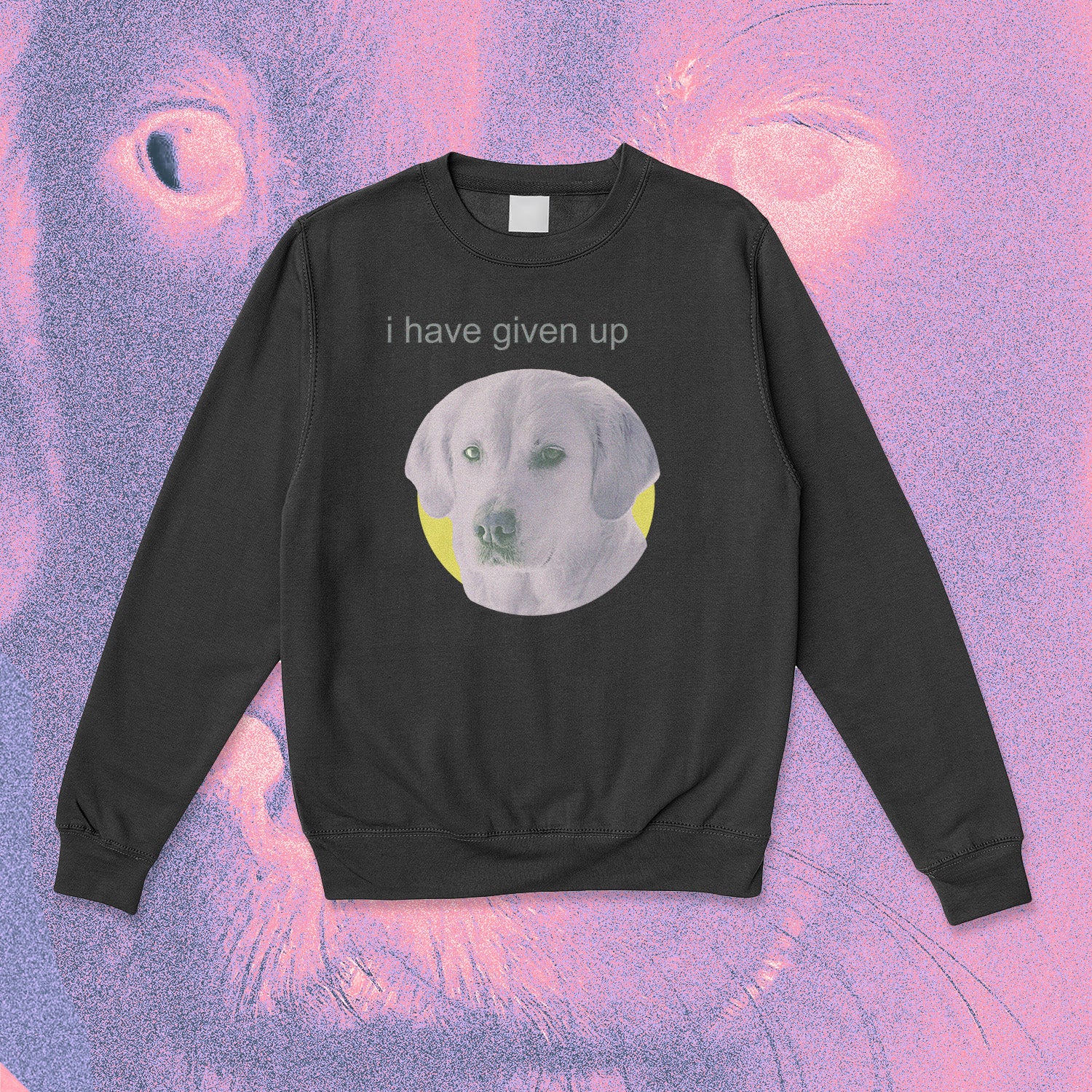 A sweatshirt.