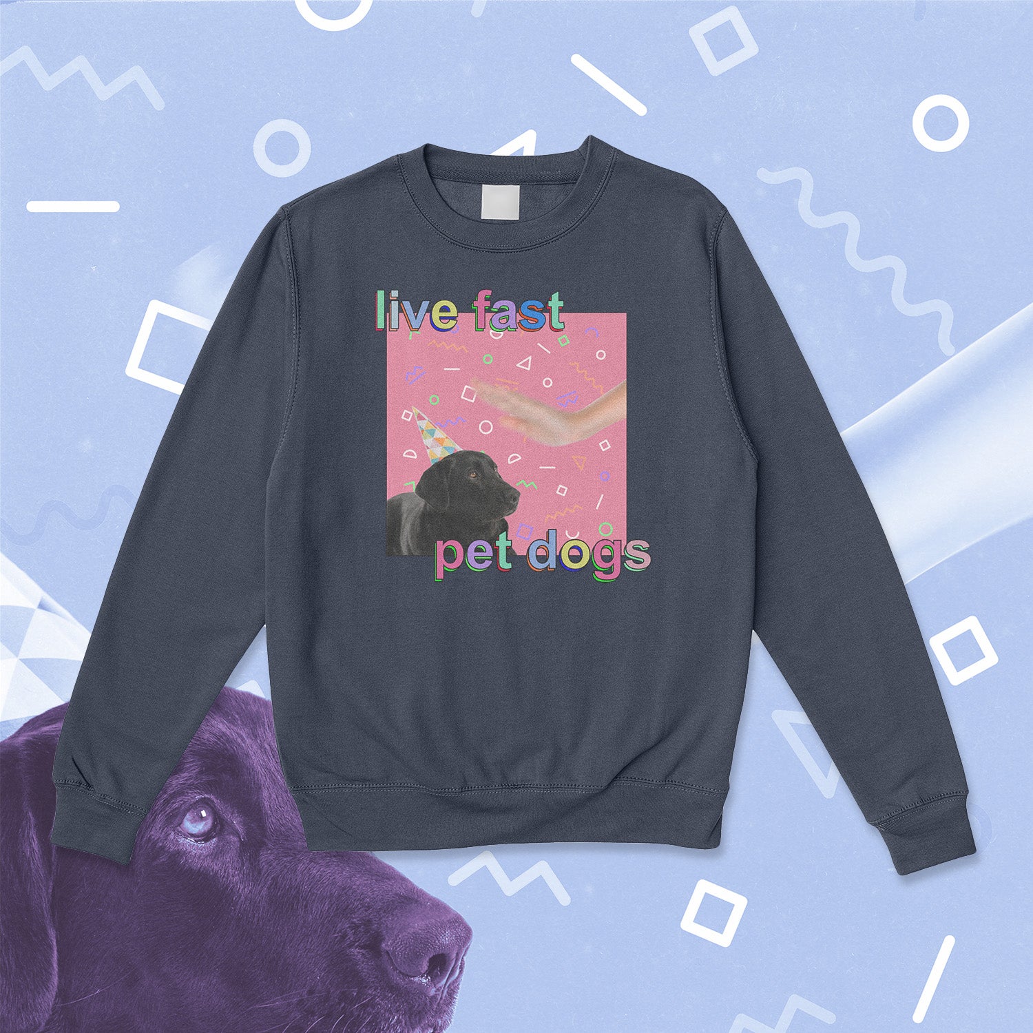live fast pet dogs
