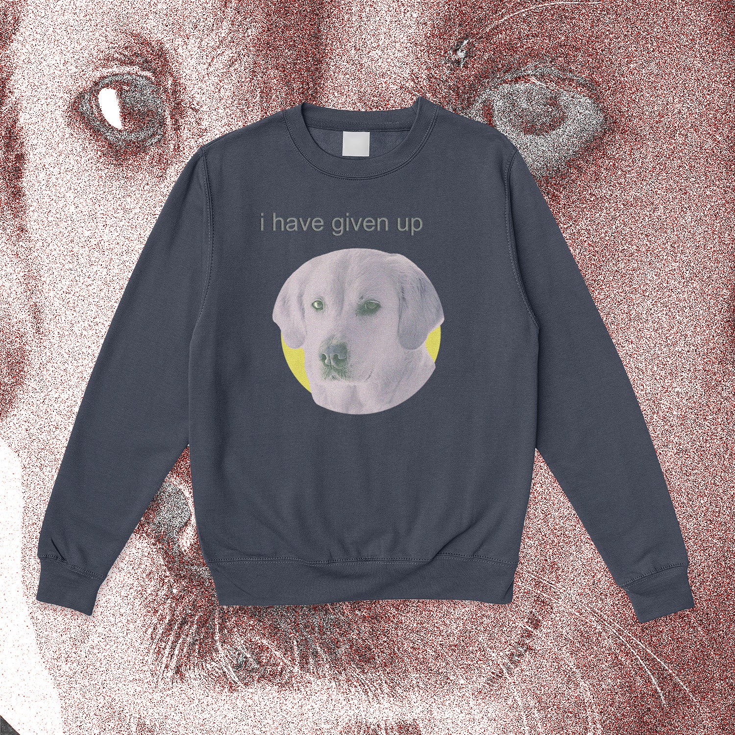 A sweatshirt.